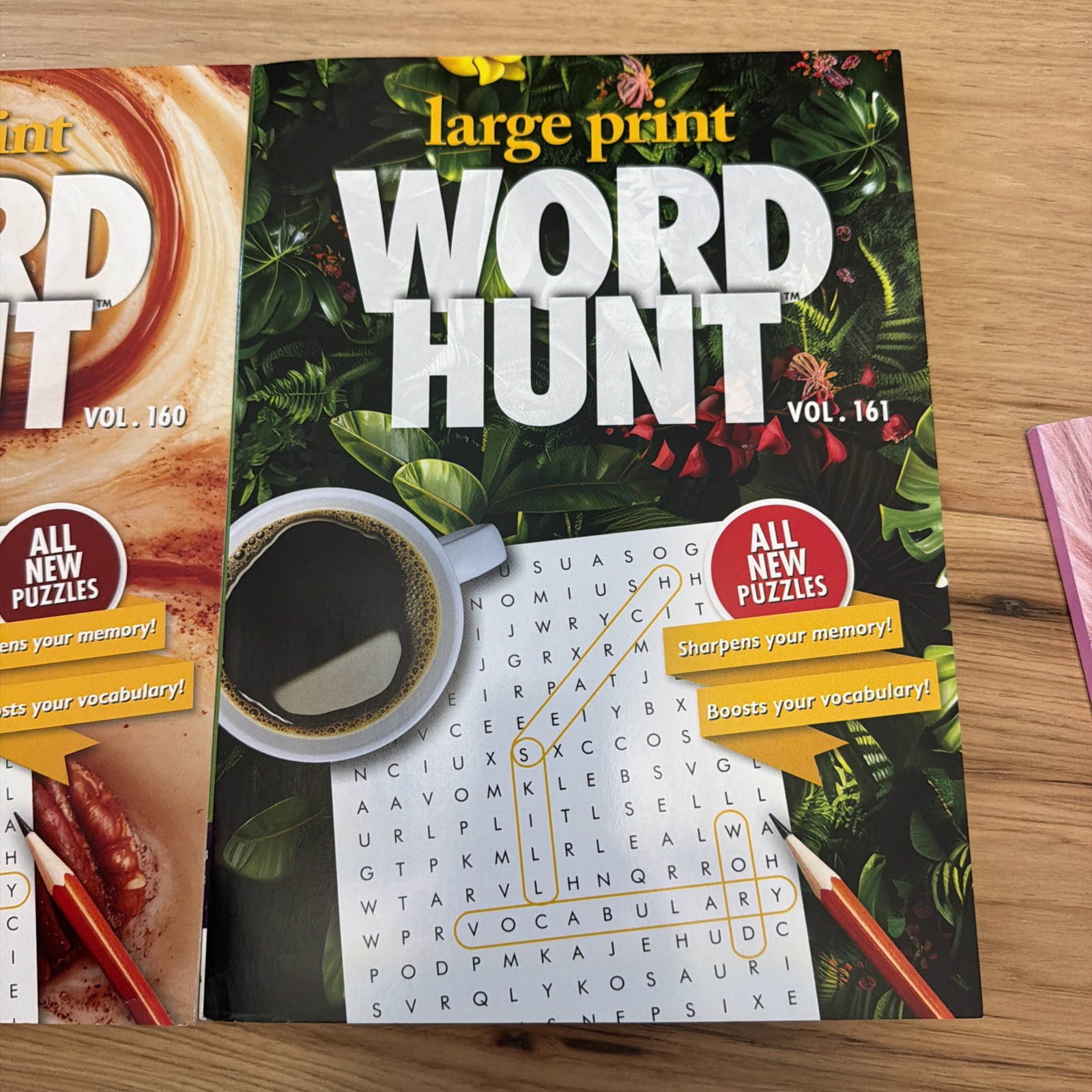 2X Large Print Word Hunt Search PaPP Puzzle Books, Vol 160 &161 MEMORY HEALTH