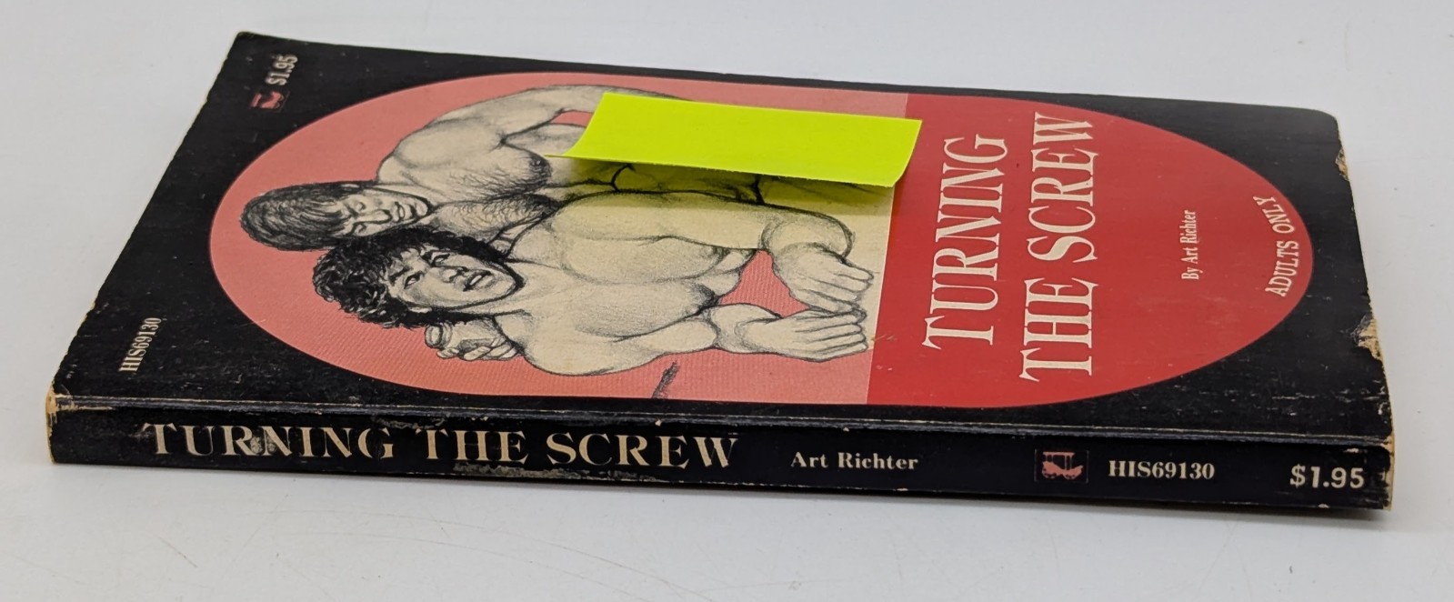1975 Turning the Screw Art Richter HIS69130 His 69 Surrey House Gay Paperback