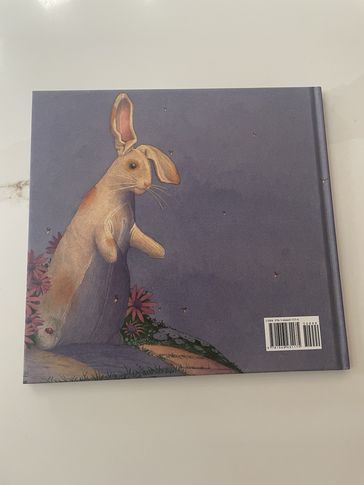 Velveteen Rabbit : The Classic Edition by Margery Williams (2023, Hardcover)