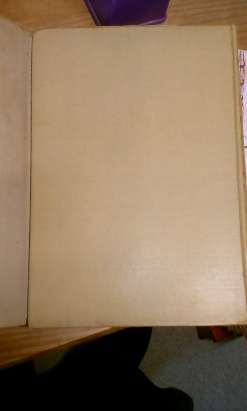 Willy Pogany The Rubaiyat of Omar Khayyam Vintage c1919 edition with dust jacket