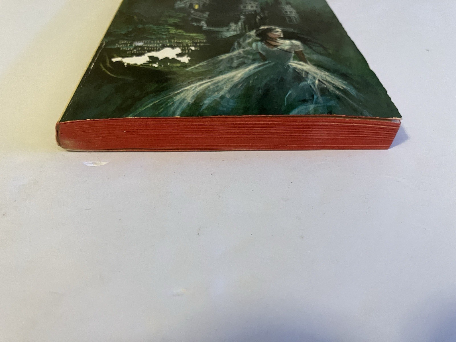 DARK EDEN BARBARA KEVERN PB 1973 POCKET BOOKS HORROR RAVENSWOOD GOTHIC NOVEL