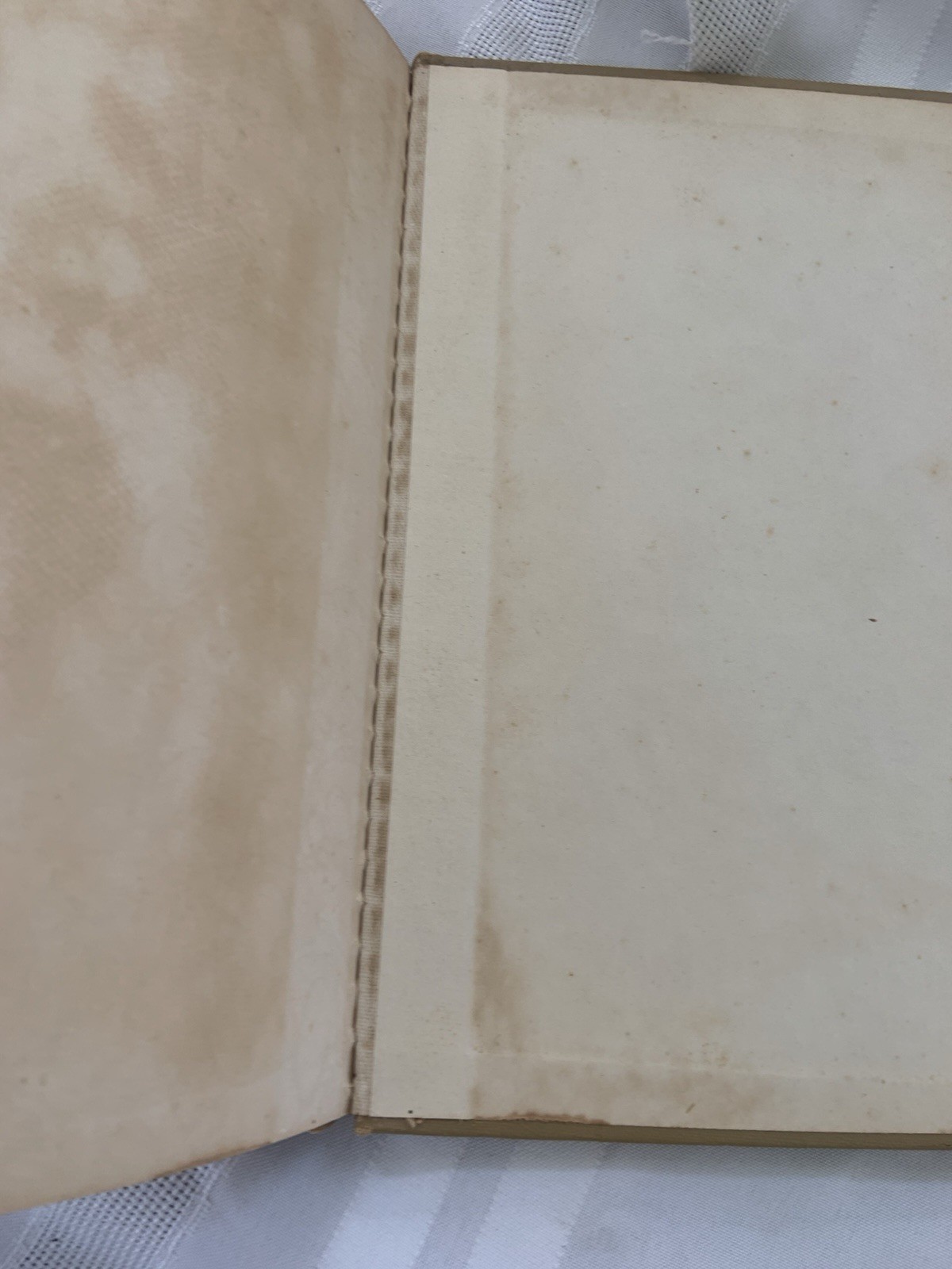 The Velveteen Rabbit, Margery Williams, HC, 1920s Early Rare CL Edition