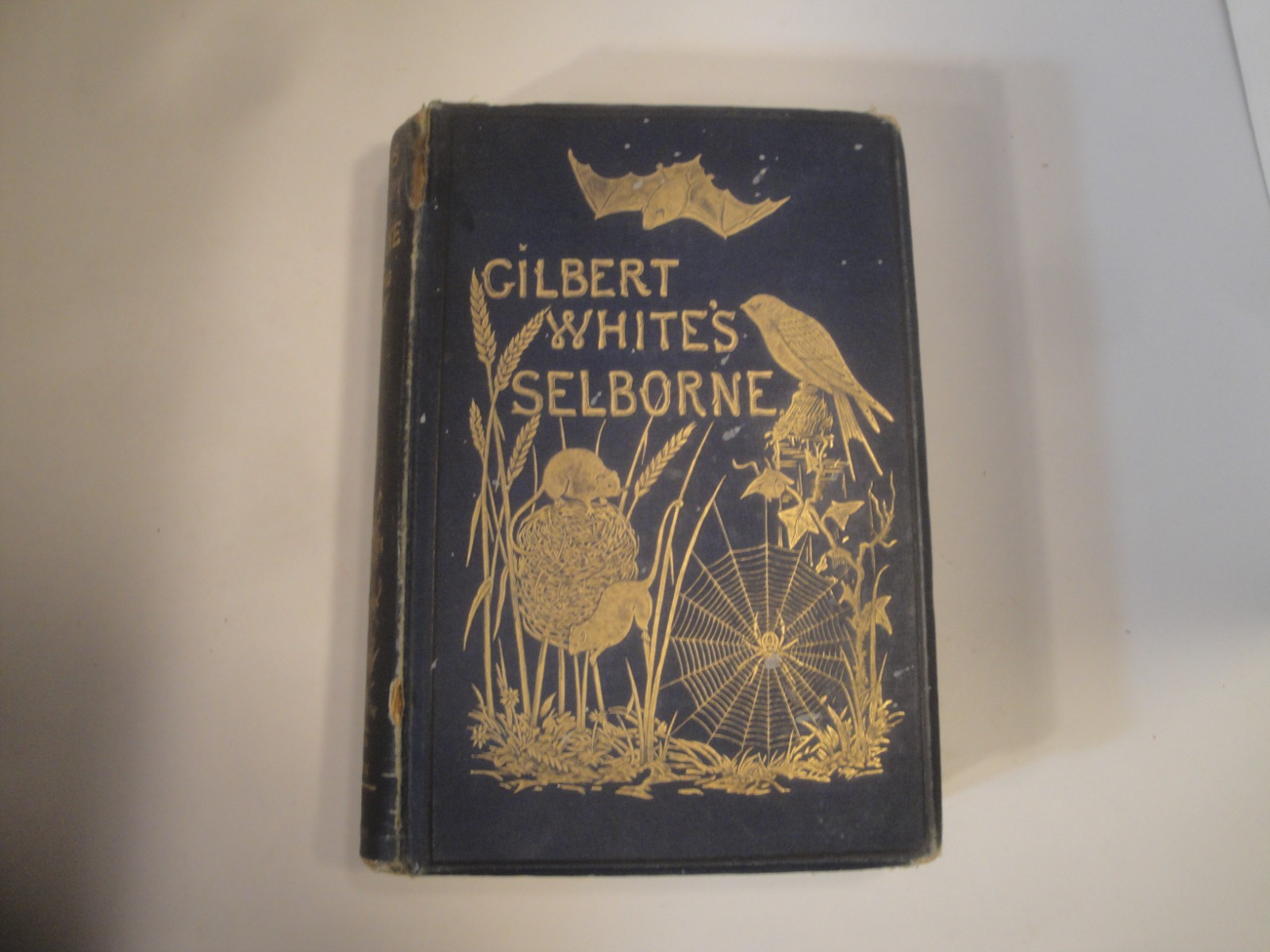 1887 / 4th ed / Gilbert White’s Shelborne/CLASSIC 19TH CENTURT NATURAL HISTORY