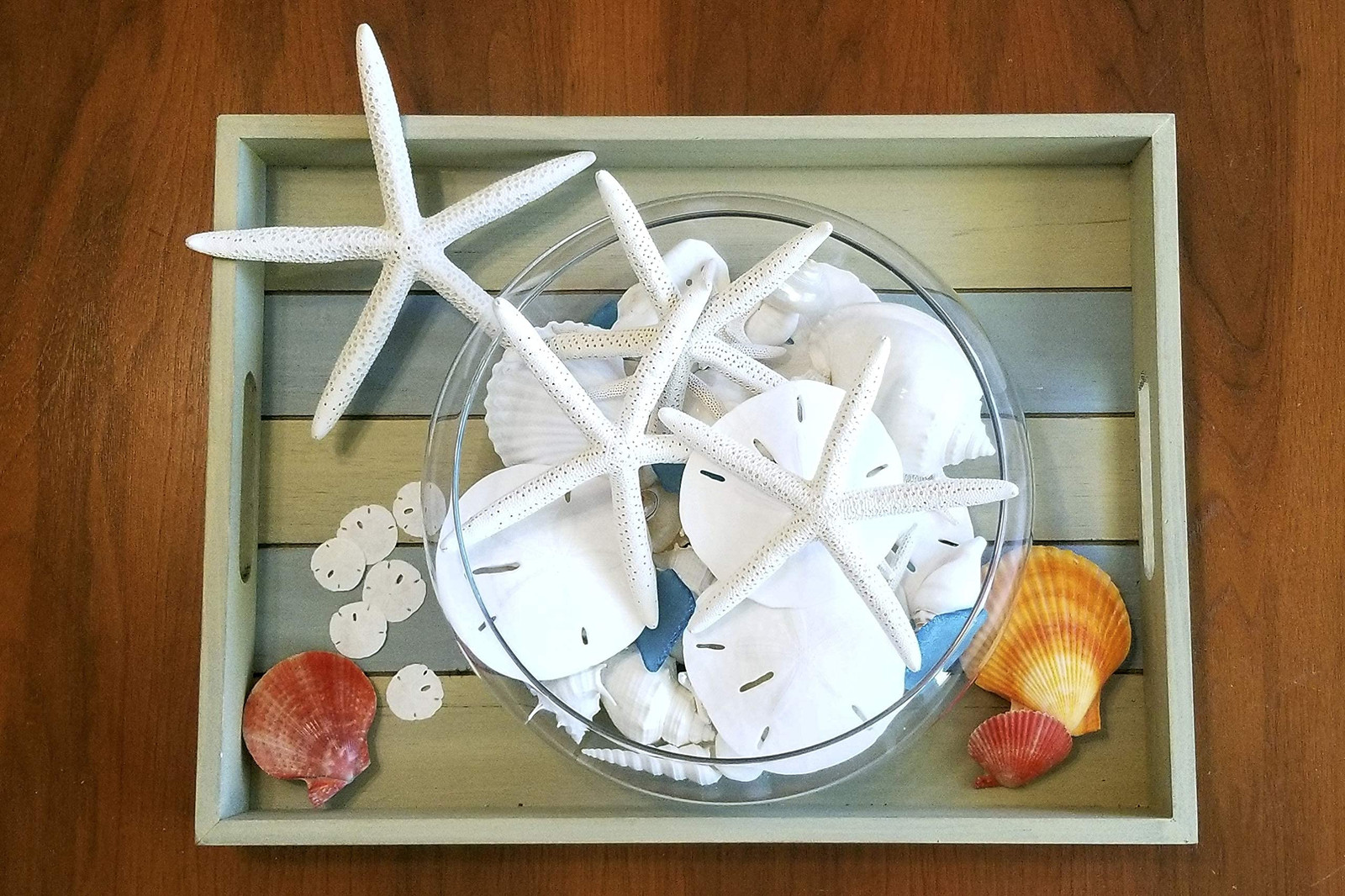 White Sand Dollars 3″-3.5″ – 10pcs – Wedding Seashell Craft Sandollars- Hand …