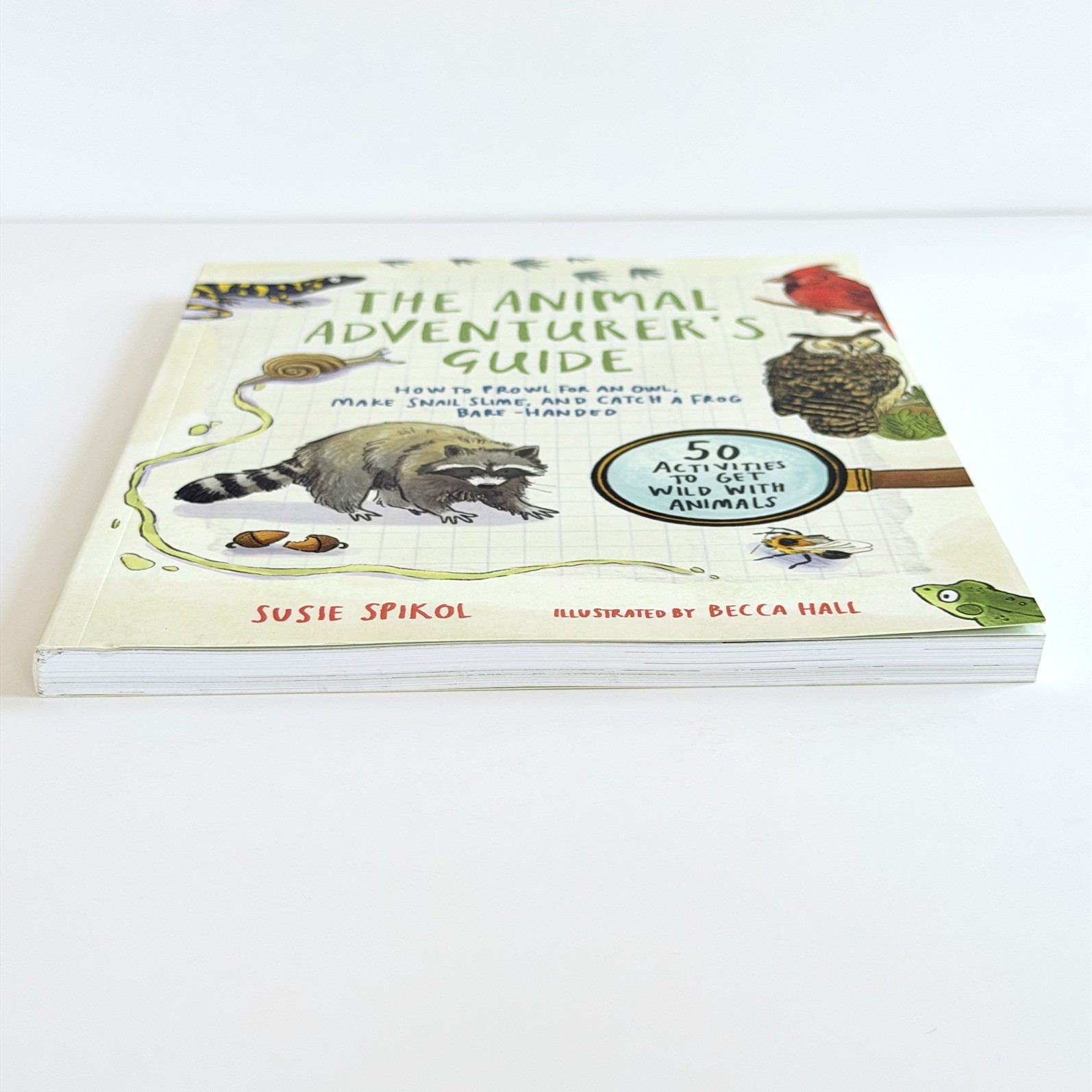 The Animal Adventurers Guide Susie Spikol Kids Activity Paperback Book