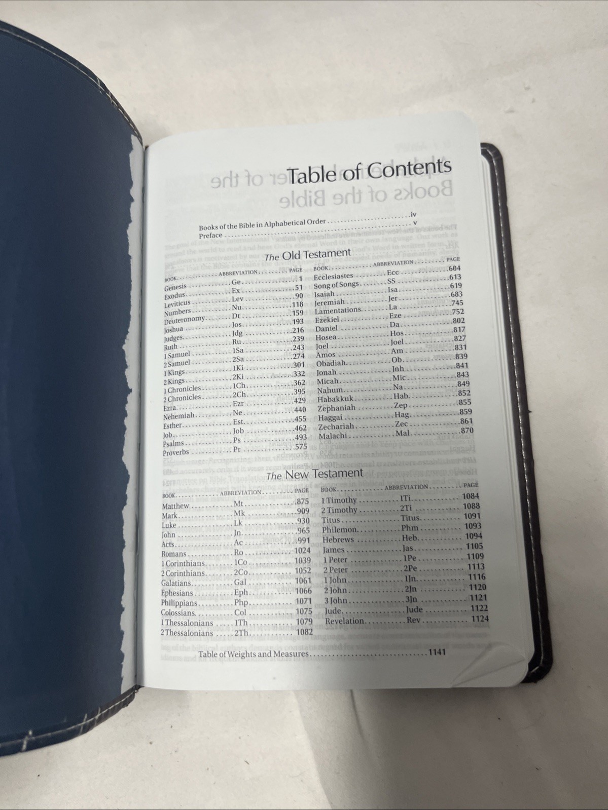 Blue-Gray/ Brown NIV Compact Thinline Bible, Italian Duo-Tone Edition, Biblica/Z