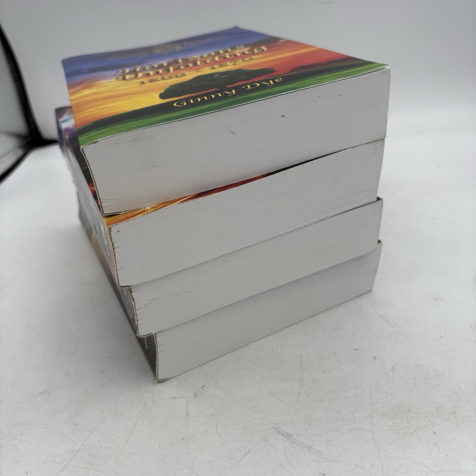 The Bregdan Chronicles Ginny Dye Volumes 9-12 Paperback Civil War Historical Fi