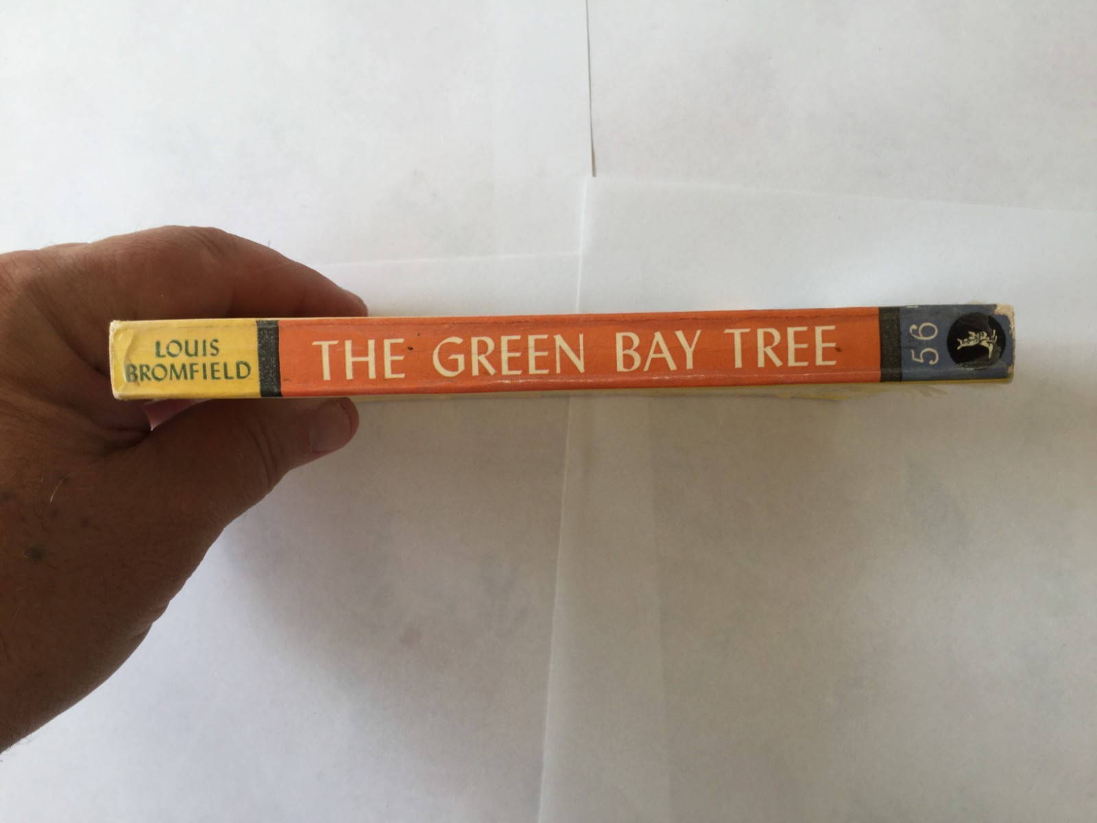 The Green Bay Tree Louis Bromfield Pocket Books 1949 P/B