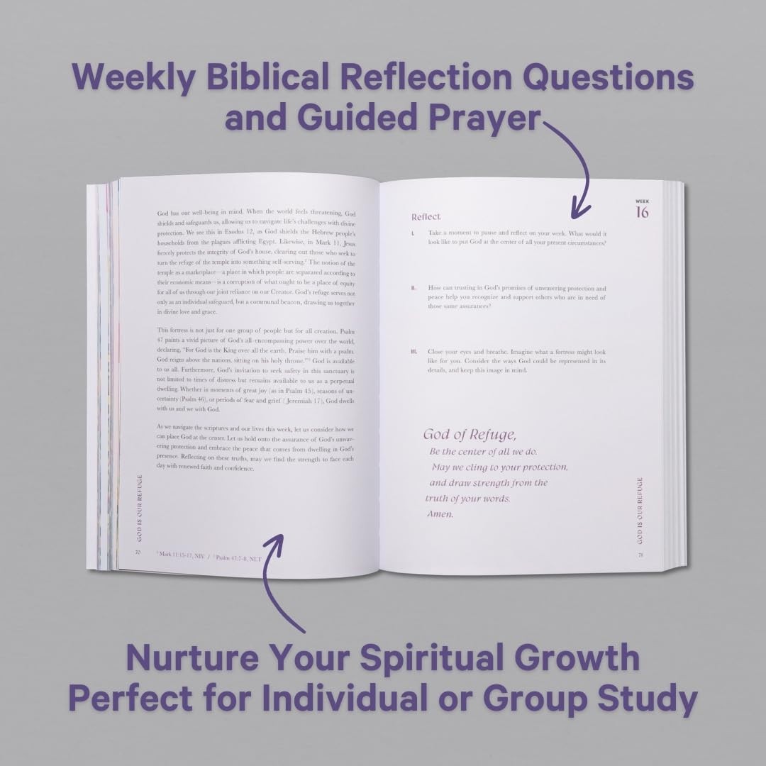 Beautiful Year in the Bible: the 52-Week Bible Study for Women by Alabaster