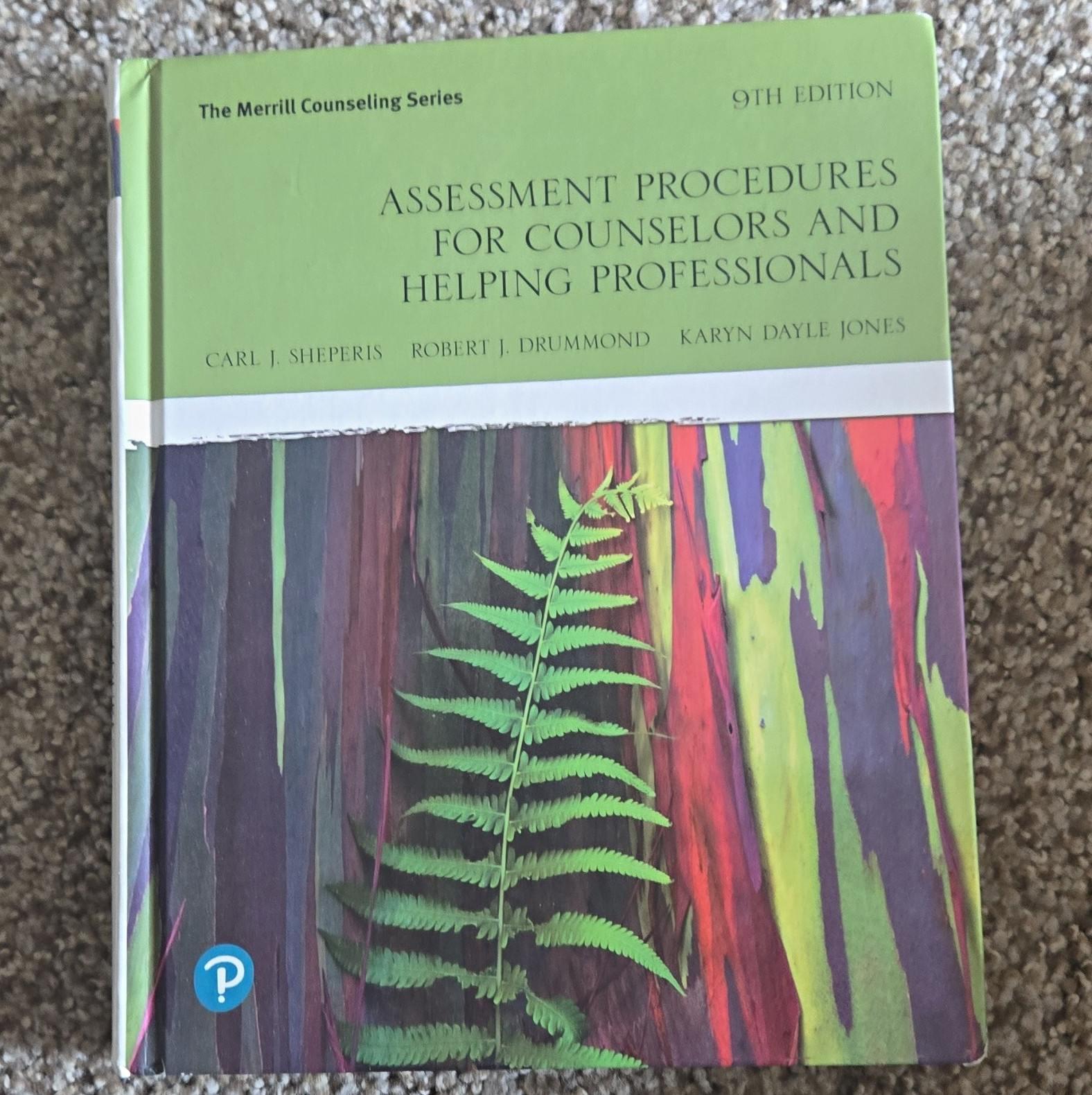 Assessment Procedures for Counselors & Helping Professionals 9th Merrill