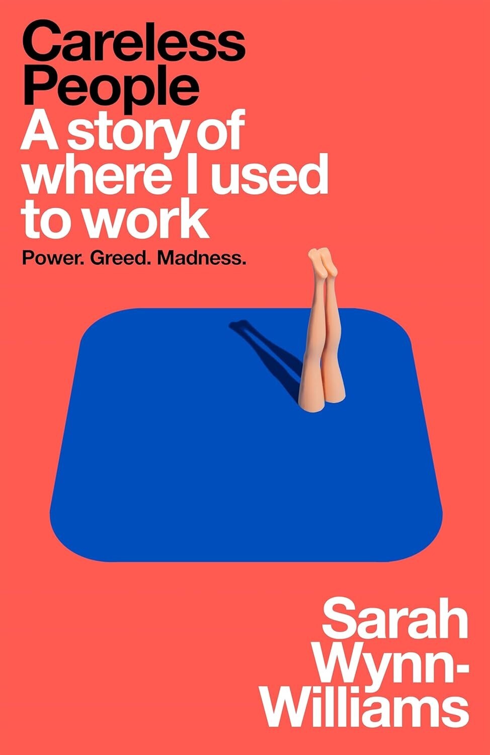 Careless People: A story of where I used to work Paperback by Sarah WynnWilliam