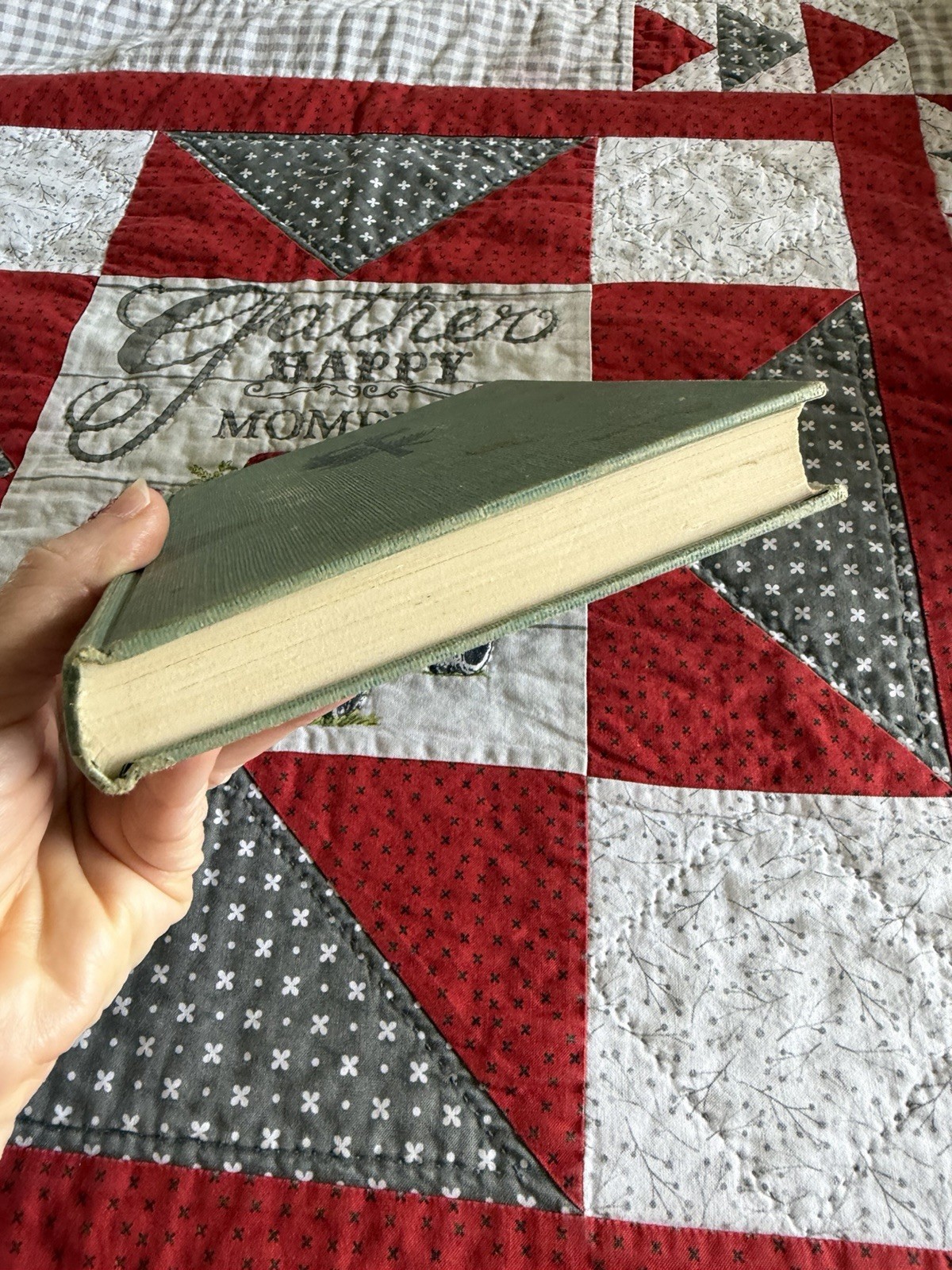 Crown Fire, Eloise Jarvis McGraw, 1951 Hardcover Vintage Children’s Book
