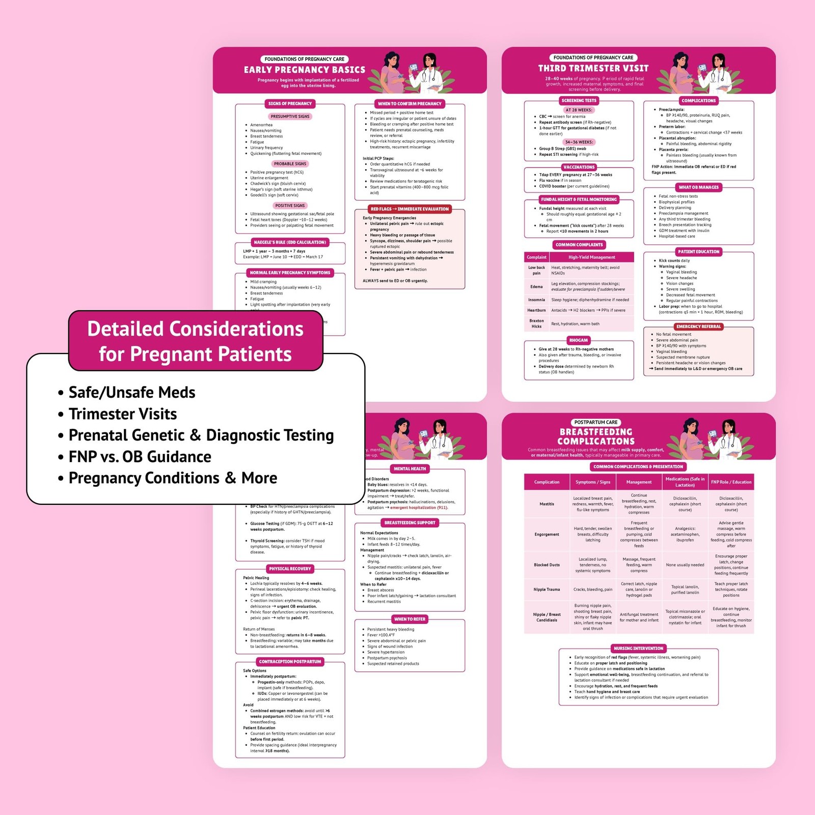 The Essential Family Nurse Practitioner Guide