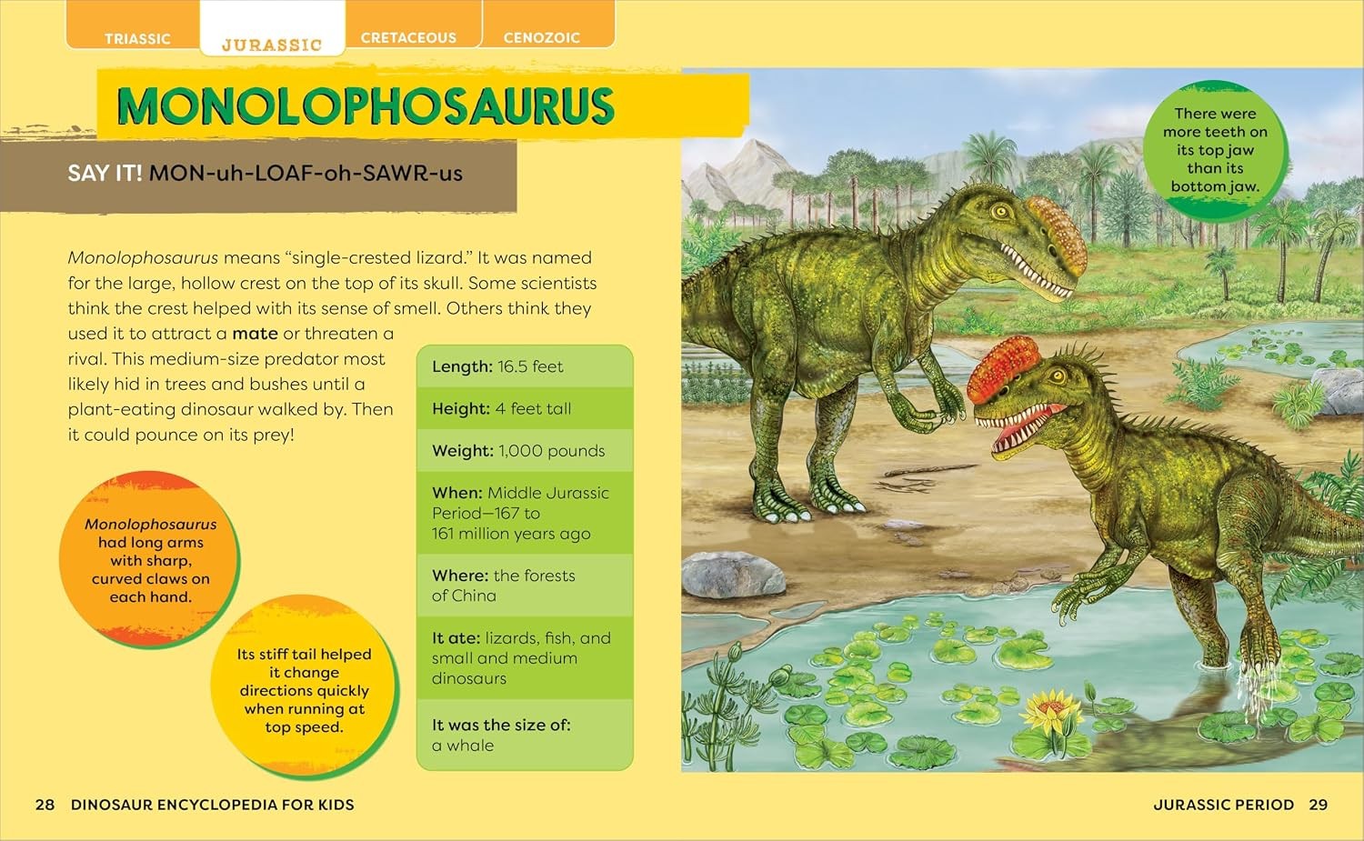 Dinosaur Encyclopedia for Kids: The Big Book of Prehistoric Creatures Hardback