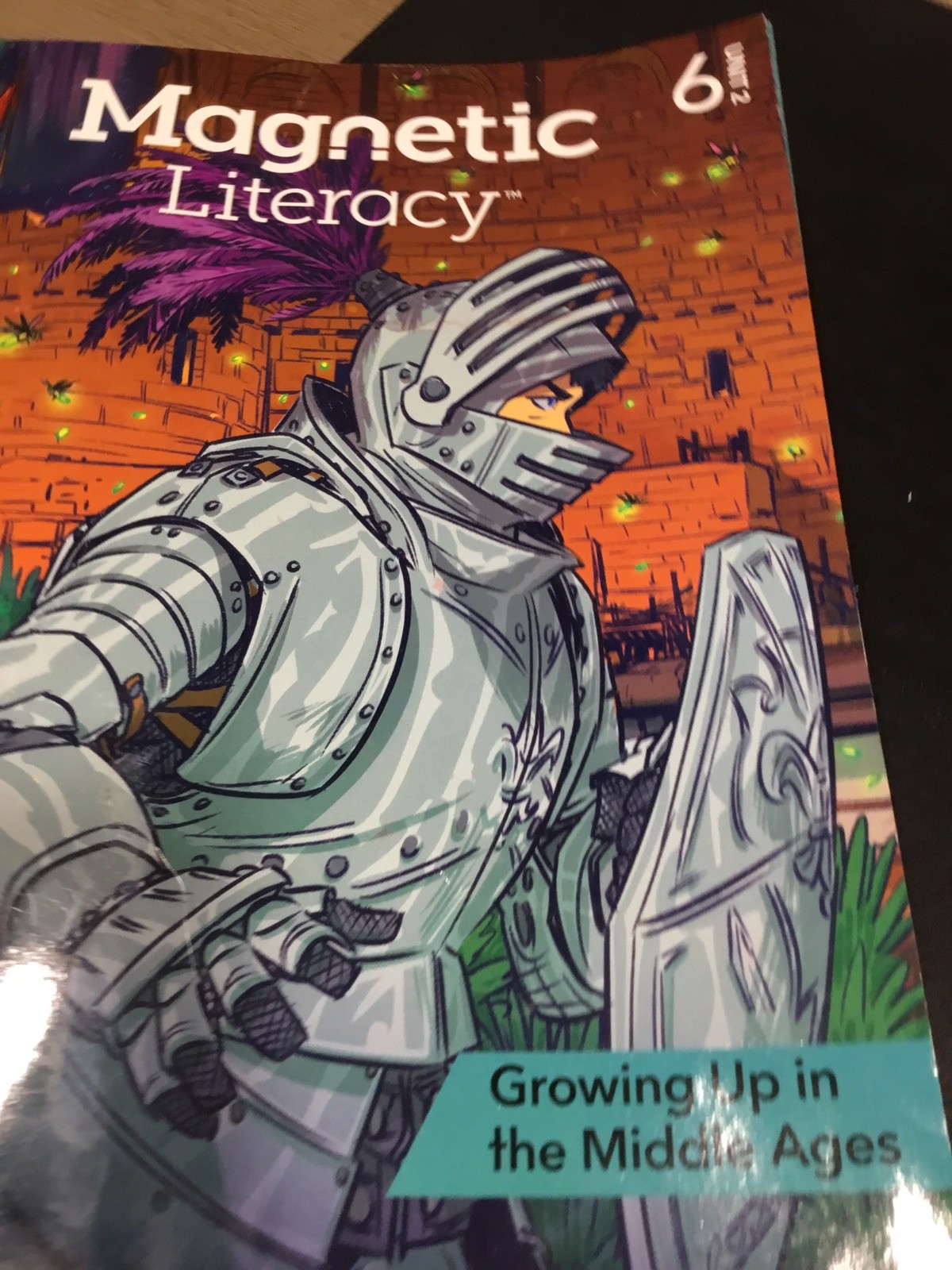 Magnetic Literacy 2 Unit 6 2027 Edition “Growing Up in the Middle Ages NEW BOOK
