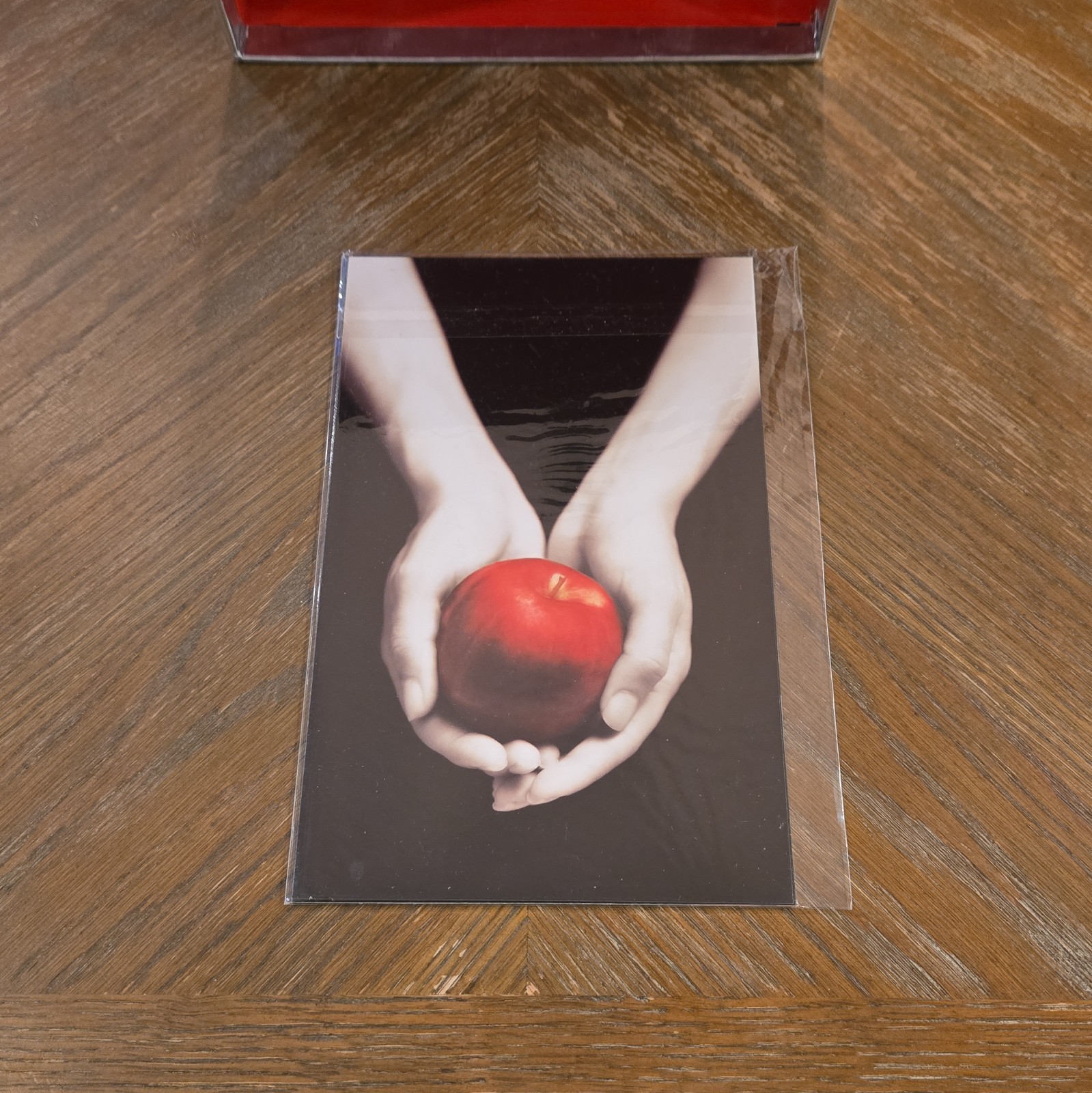 Twilight Hardcover 2005 First Edition by Stephenie Meyer