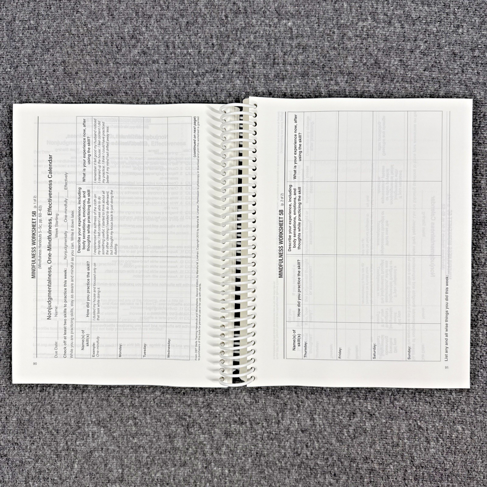 DBT Skills Training Handouts and Worksheets by Marsha M. Linehan, Like New