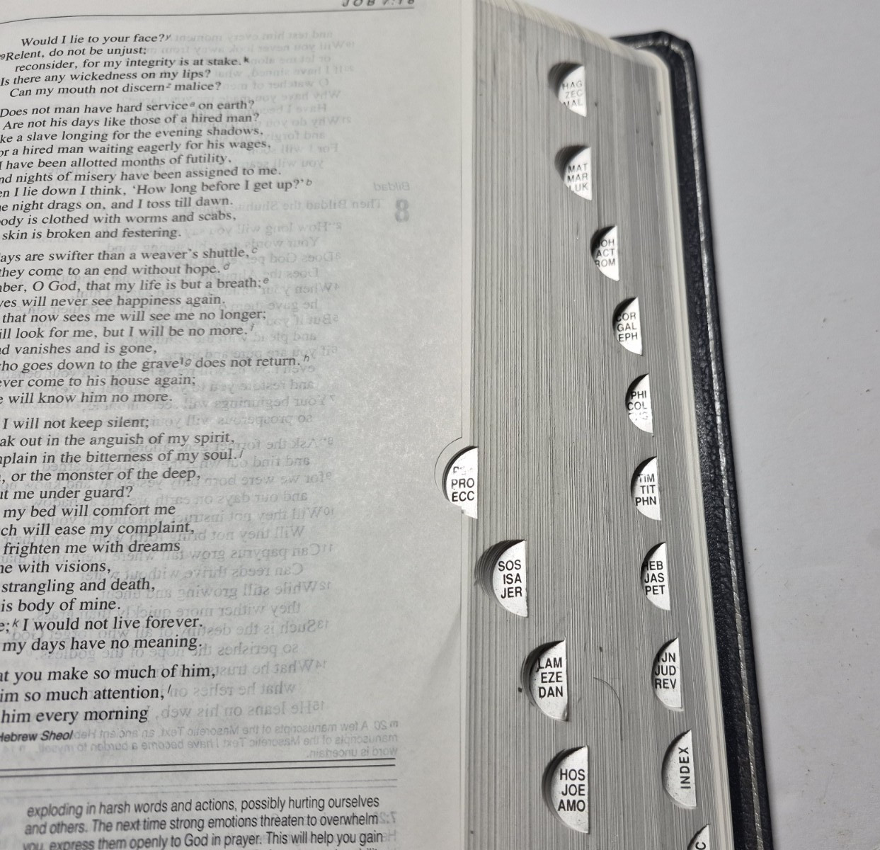 Zondervan Genuine Leather NIV Application Study Bible Navy Red Letter