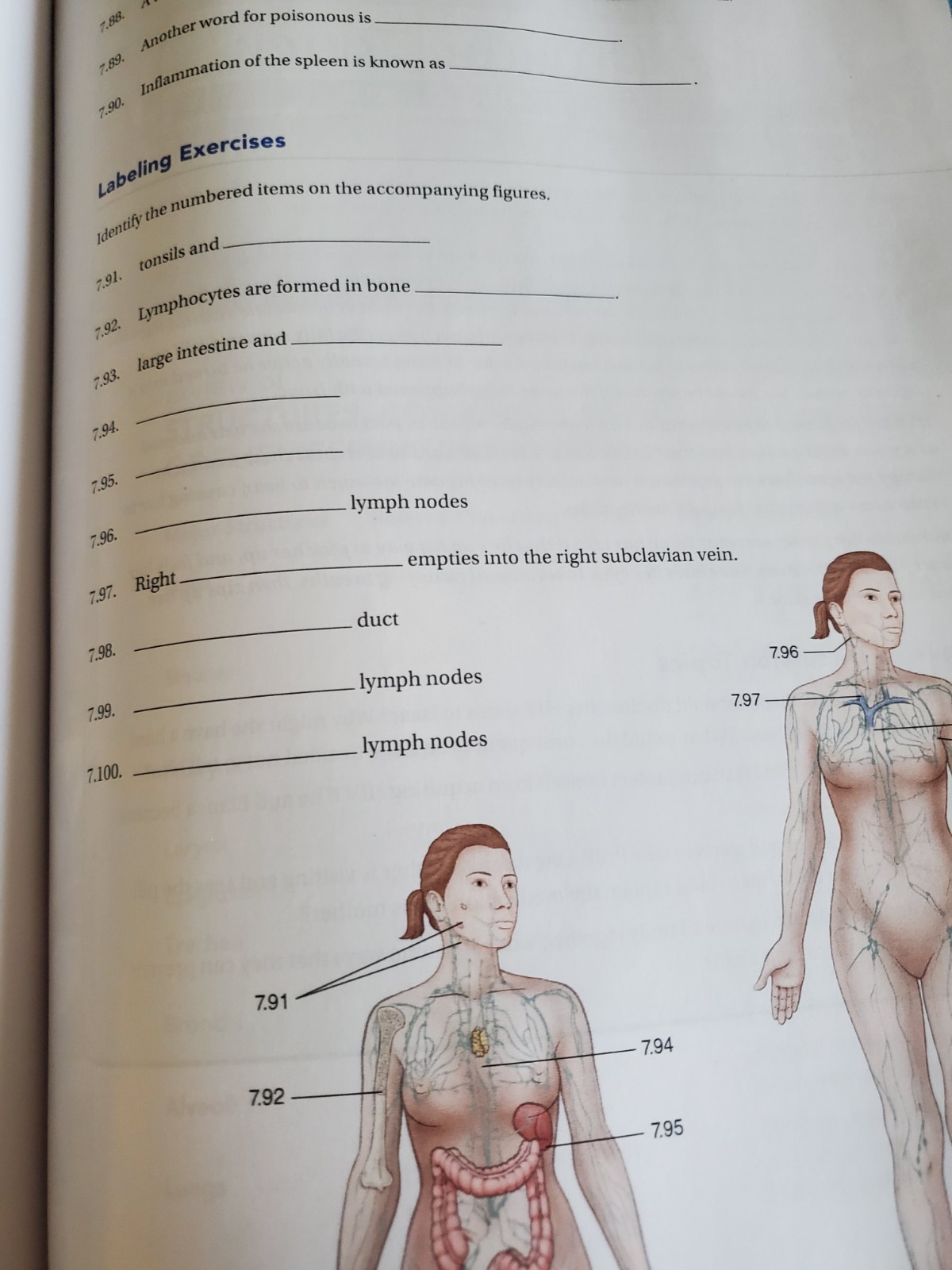 NEW Cengage Comprehensive Medical Terminology for Health Professions 9thEd.