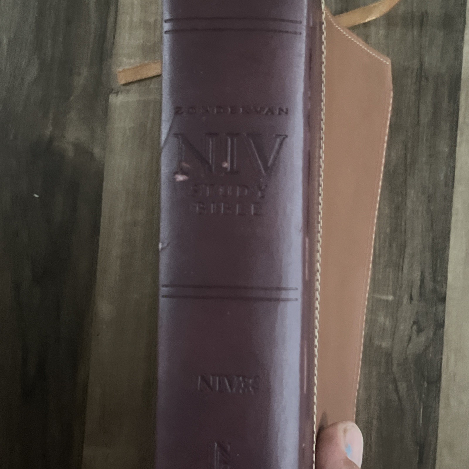 Zondervan NIV Compact Study Bible Italian Duo-Tone Tan Burgundy 2011 Small Print