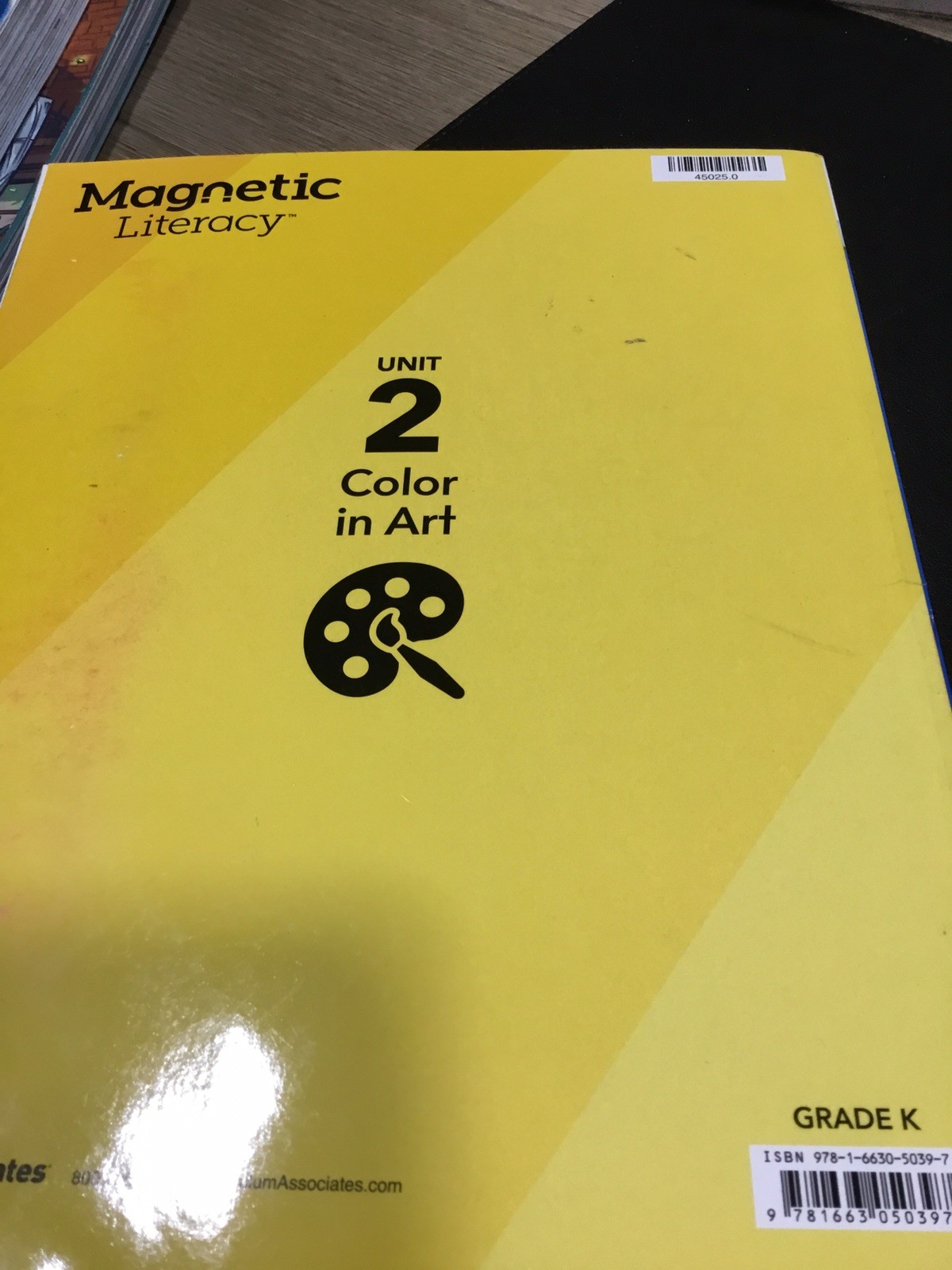 Magnetic Literacy K Unit 2 2027 Edition “Color in Art” 9781663050397 NEW BOOK