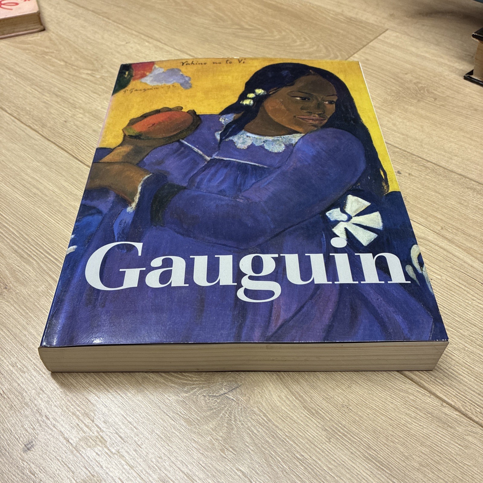 The Art of Paul Gauguin SC National Gallery of Art 1988