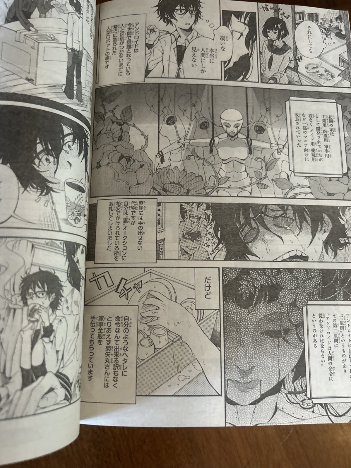 Young Ace[2013 June] Japanese Edition VG MANGA