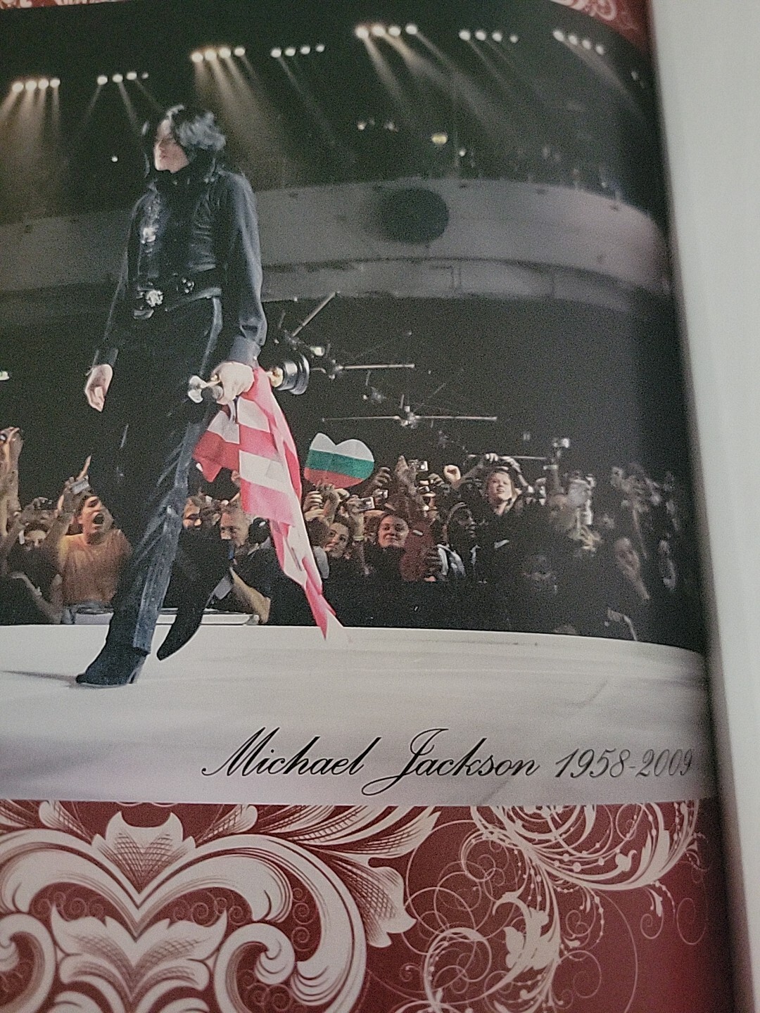 Michael Jackson : The One and Only Triumph Books (2009) TRIBUTE Chicago VINTAGE