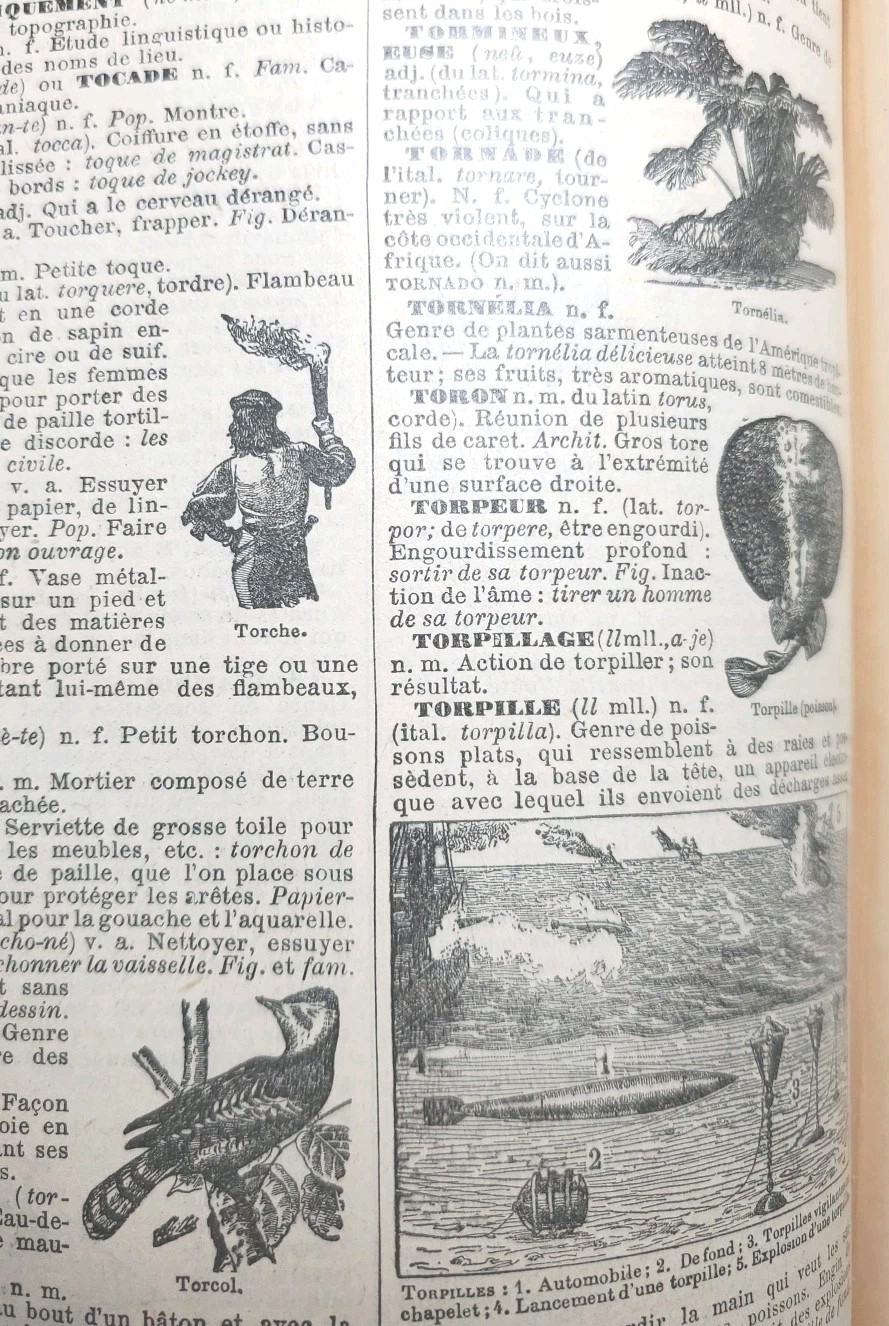 Antique 1920s Petit Larousse Illustrated Dictionary Paris HC French 1664 Pages