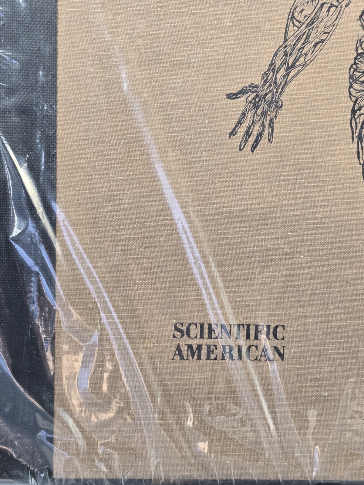 1978 Scientific American Medicine Vol 1 Rubenstein Federman Loose-Leaf Binder