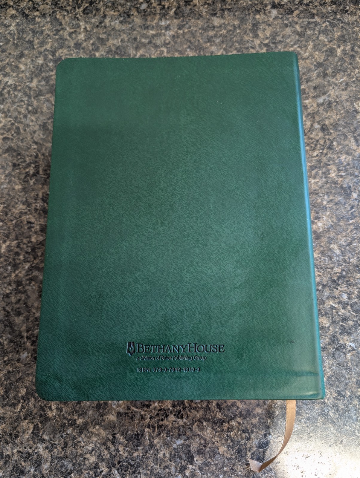 The Bible Recap: A One-Year Guide by Tara-Leigh Cobble – Faux Leather Edition