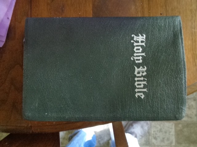 RIVERSIDE gray Genuine Leather Holy Bible KJV Giant Print Living Word WOC in red