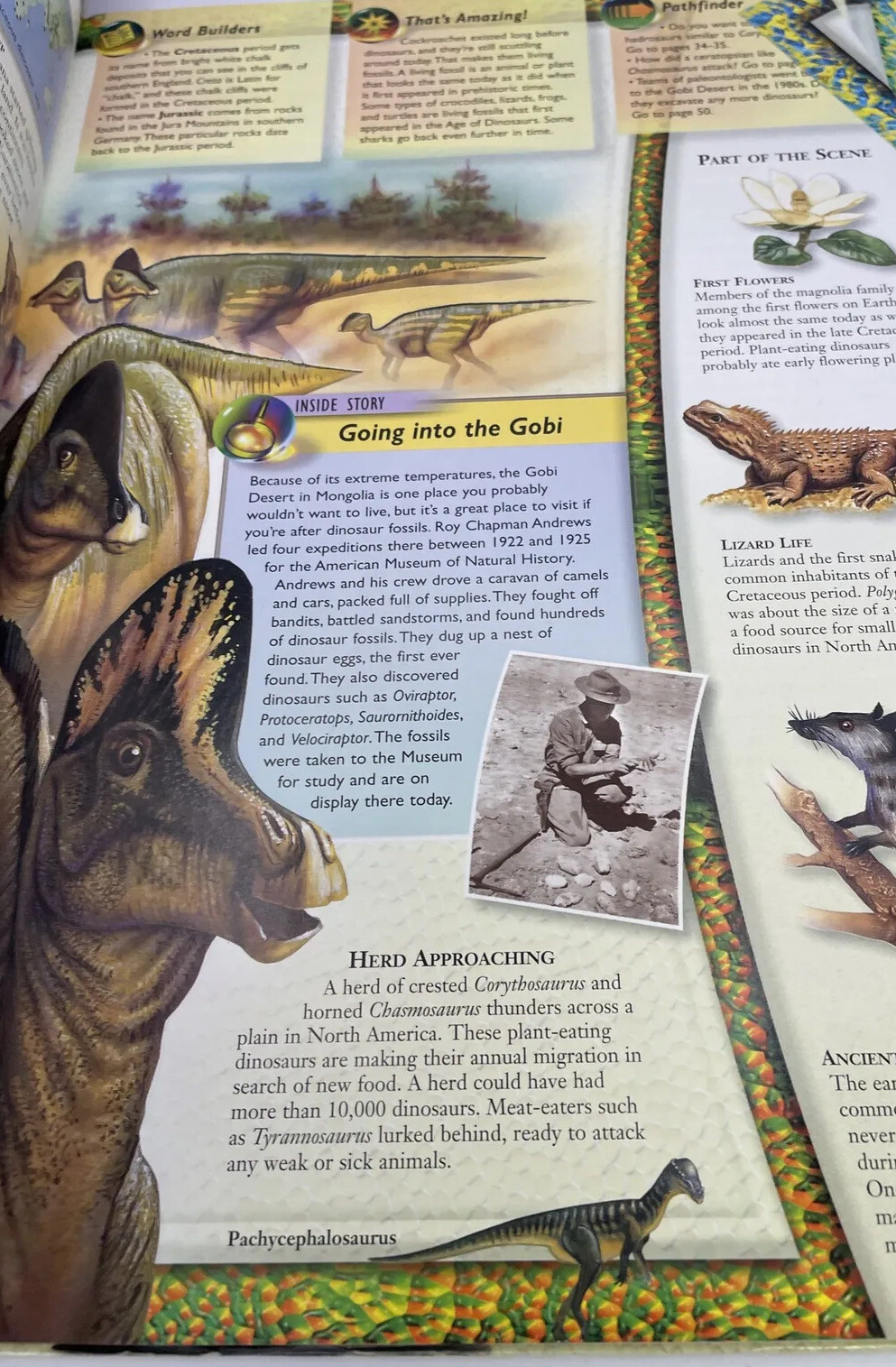 Vintage 1999 Reader’s Digest Pathfinders Dinosaurs By Paul M. A. Willis