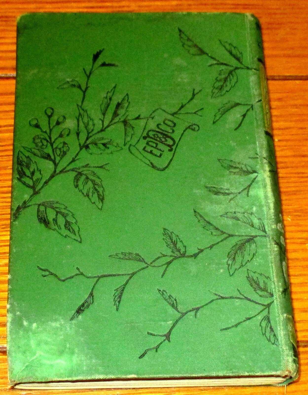 1881 Among The Brigands, & Other Tales of Adventure by C.E. Bowen H/C 160 Pages