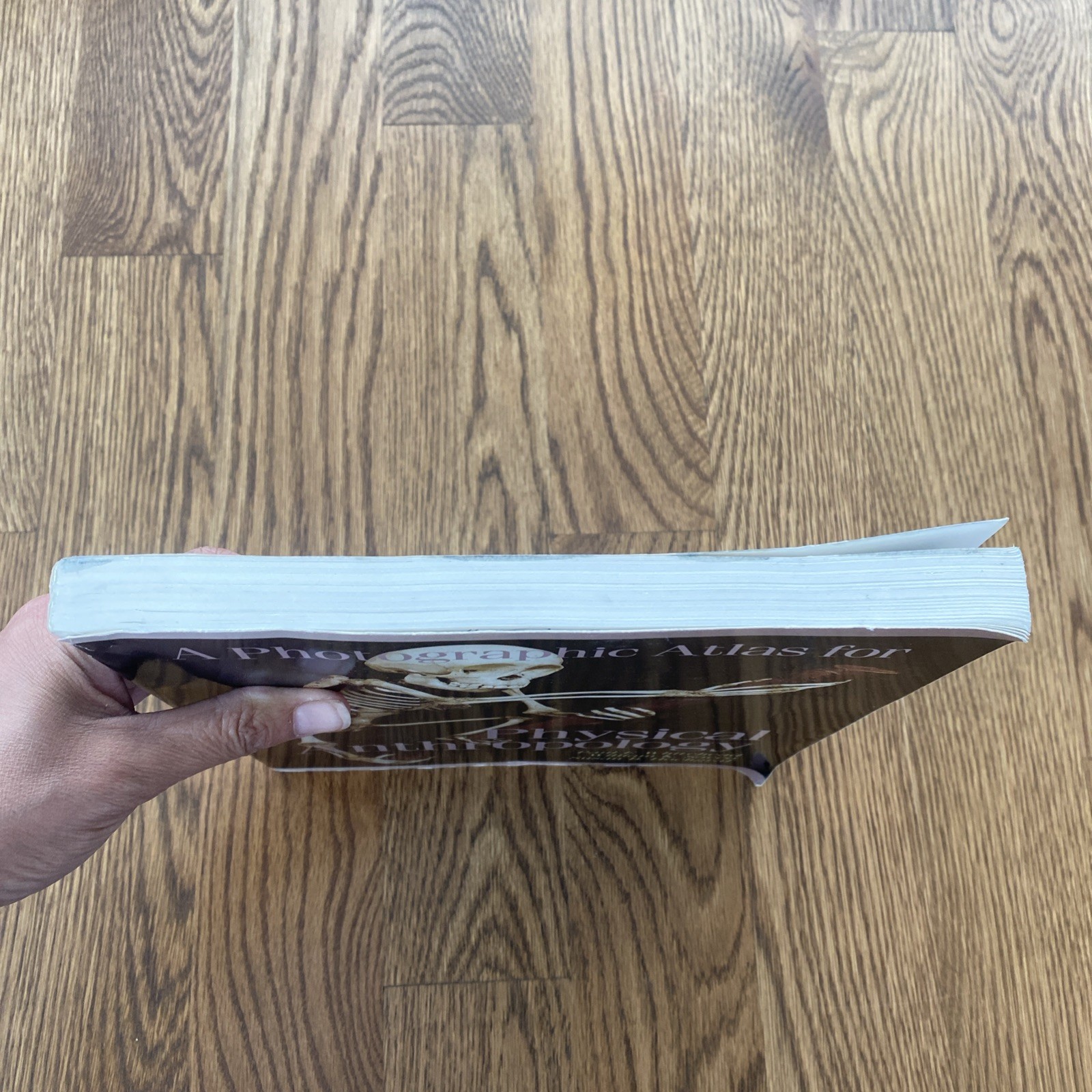 A Photographic Atlas for Physical Anthropology Whitehead 2005 Anatomy Evolution