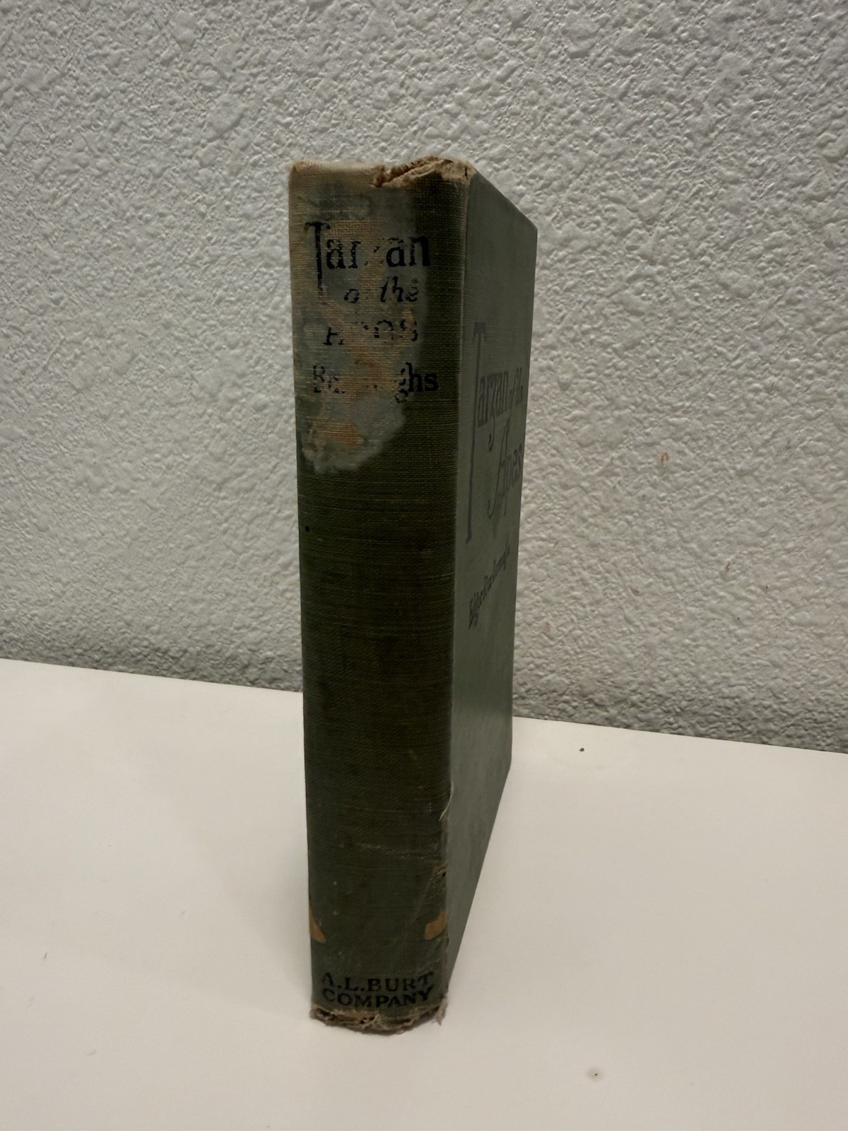 Tarzan of the Apes Edgar Rice Burroughs A.L. Burt Early HC 1914 Frontispiece
