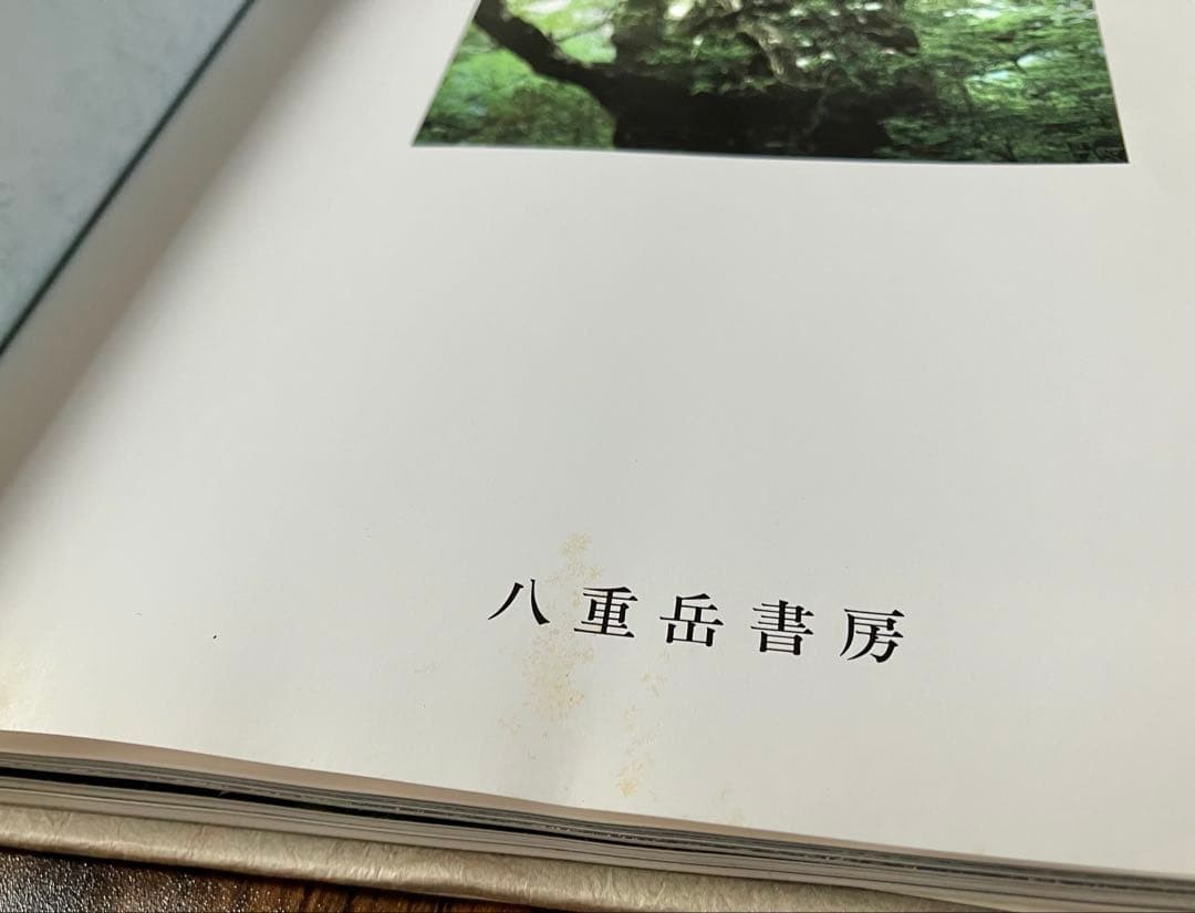 Yakushima Forests Water Mountains Kizo Kushita Out of Print First Edition