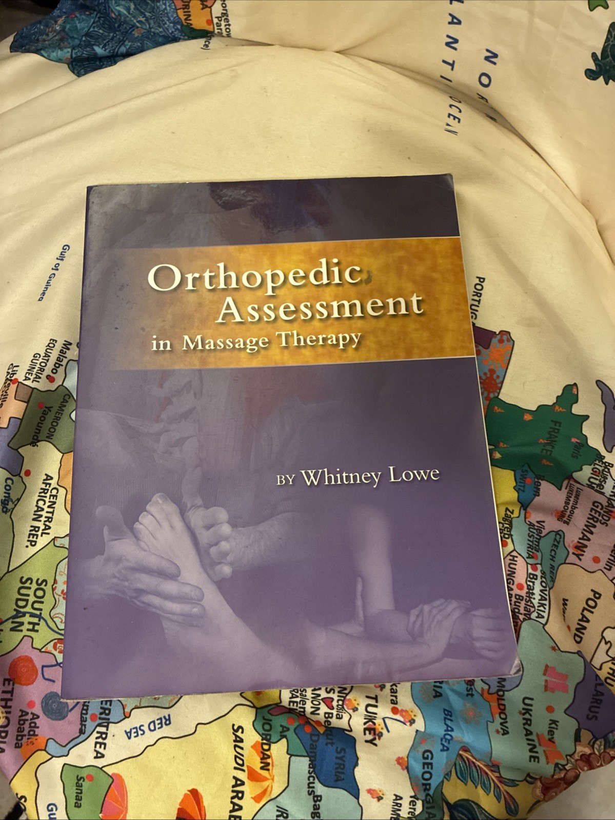 Orthopedic Assessment in Massage Therapy – Paperback By Lowe, Whitney – GOOD