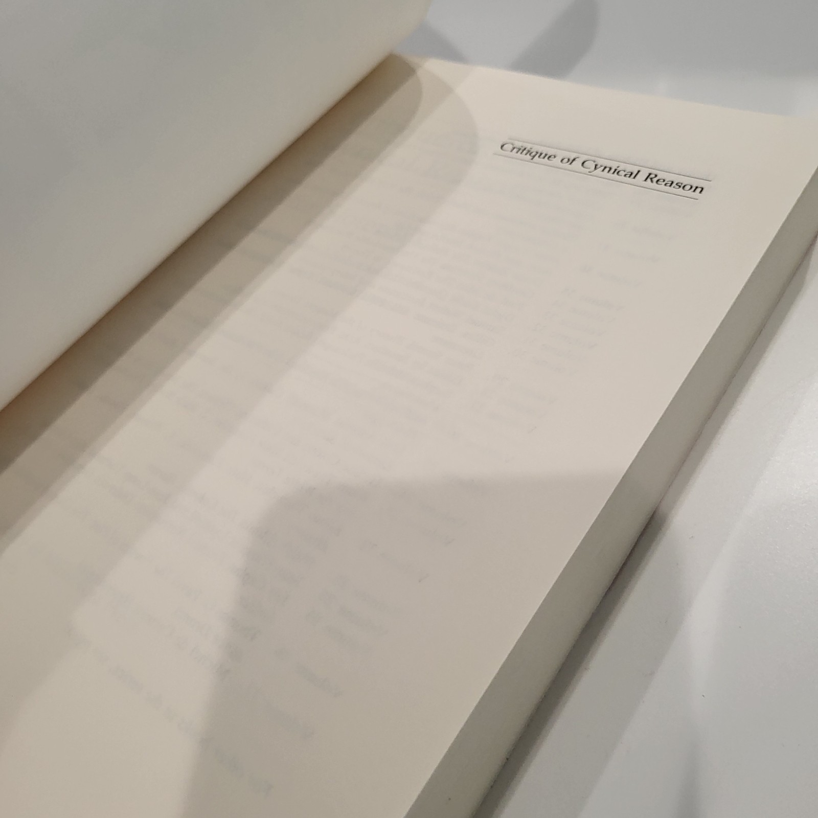 Critique of Cynical Reason Theory and History of Literature Volume 40