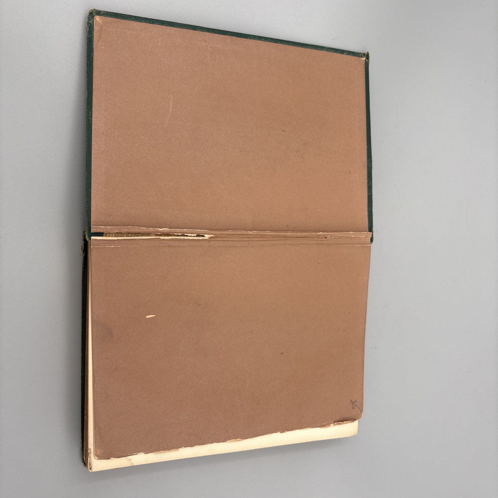 Bryant’s Poetical Works 1878 William Cullen Gilt New York Appleton HC Green