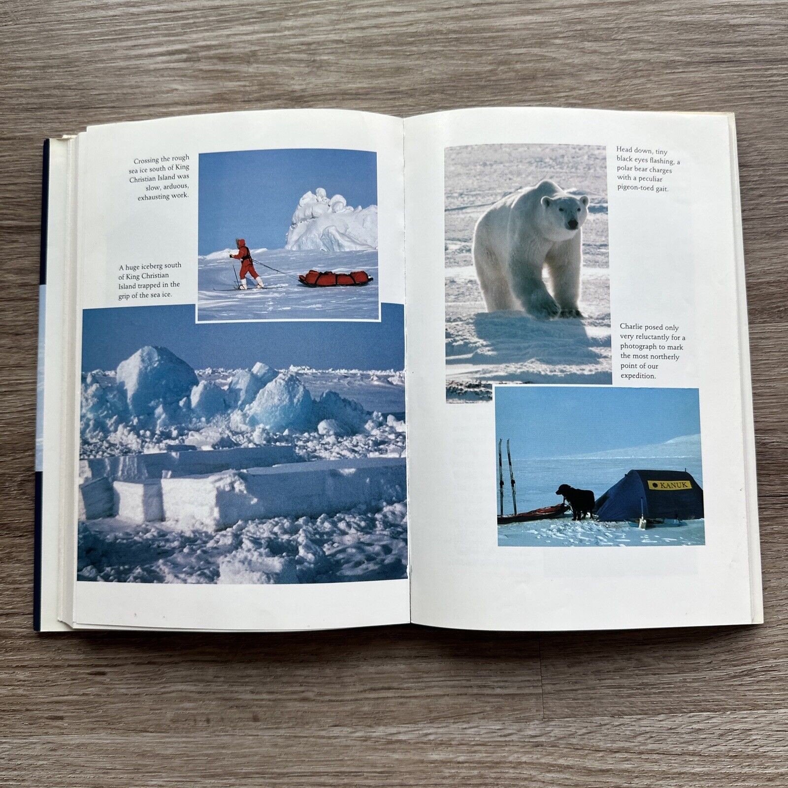 Polar Dream By Thayer, Helen – 1993 Hardcover Dust Jacket, Signed By Author