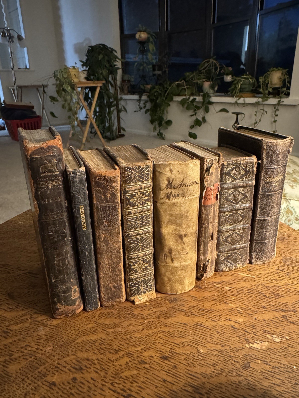 8 Book Lot Religious Bibles. 1500s 1600s and more