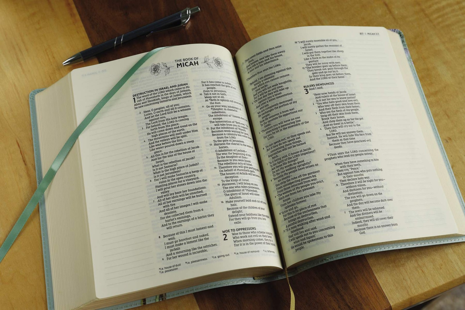 NASB Artisan Collection Leathersoft Bible Sage Floral, Red Letter, Comfort Print