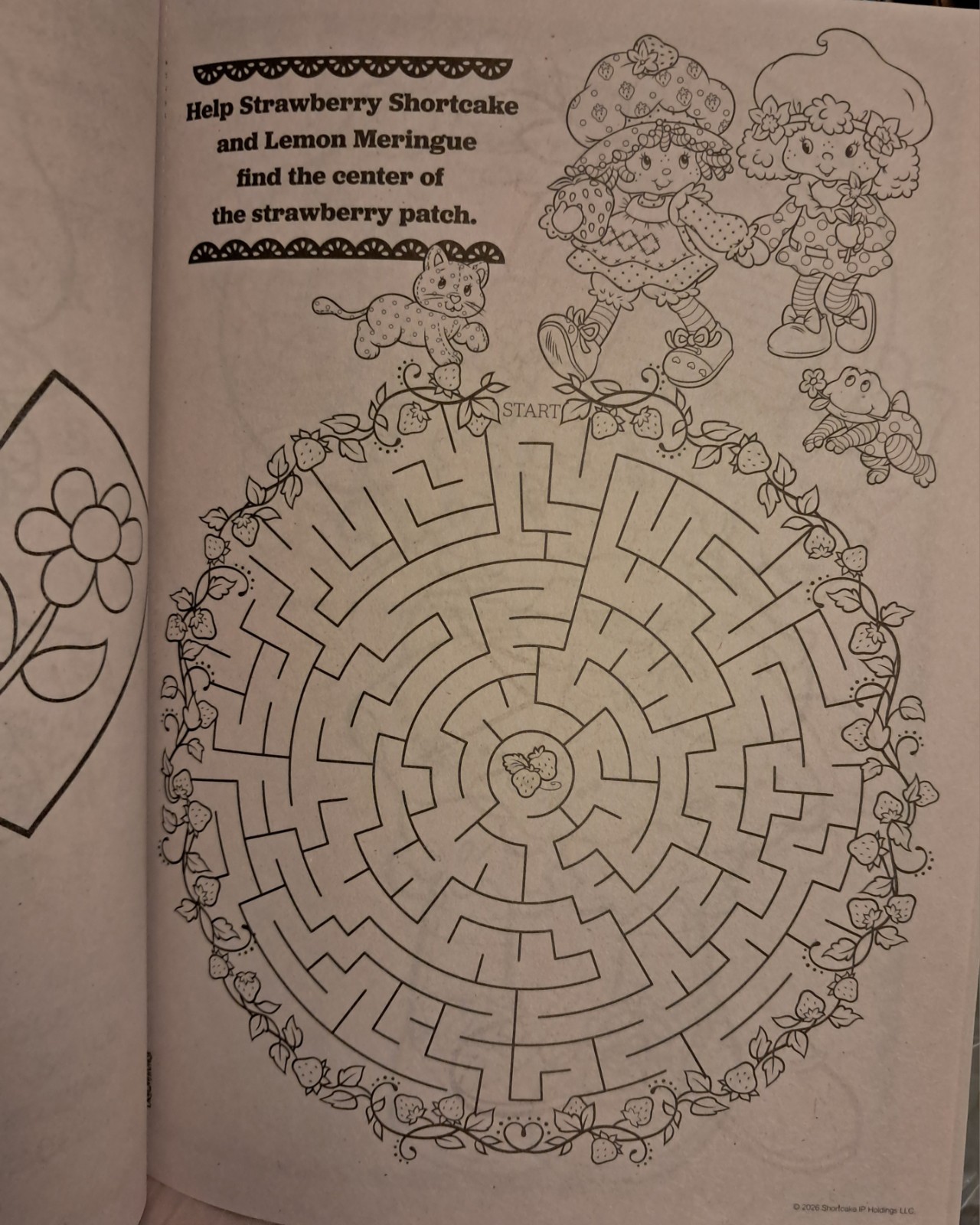 ❤️ THE WORLD Of ●STRAWBERRY SHORTCAKE● 🍓•BERRY BESTIES Coloring/Activity Book.