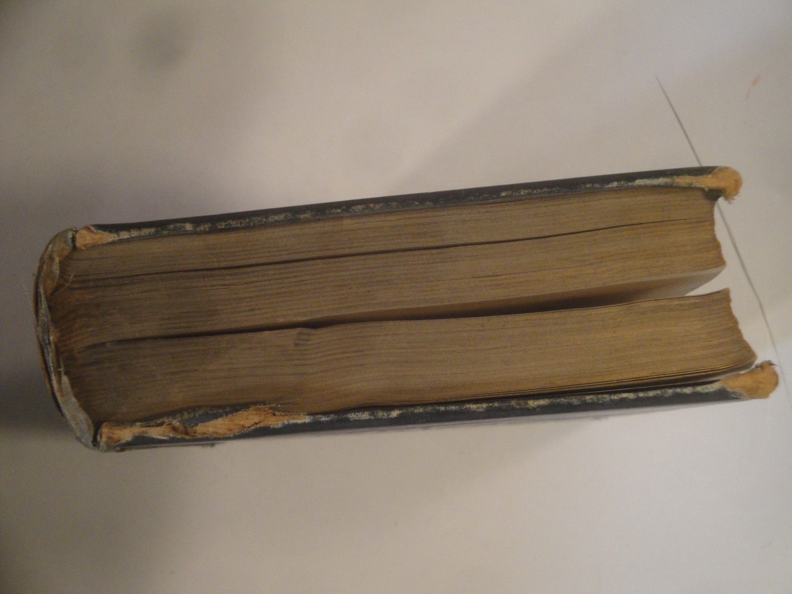 1887 / 4th ed / Gilbert White’s Shelborne/CLASSIC 19TH CENTURT NATURAL HISTORY