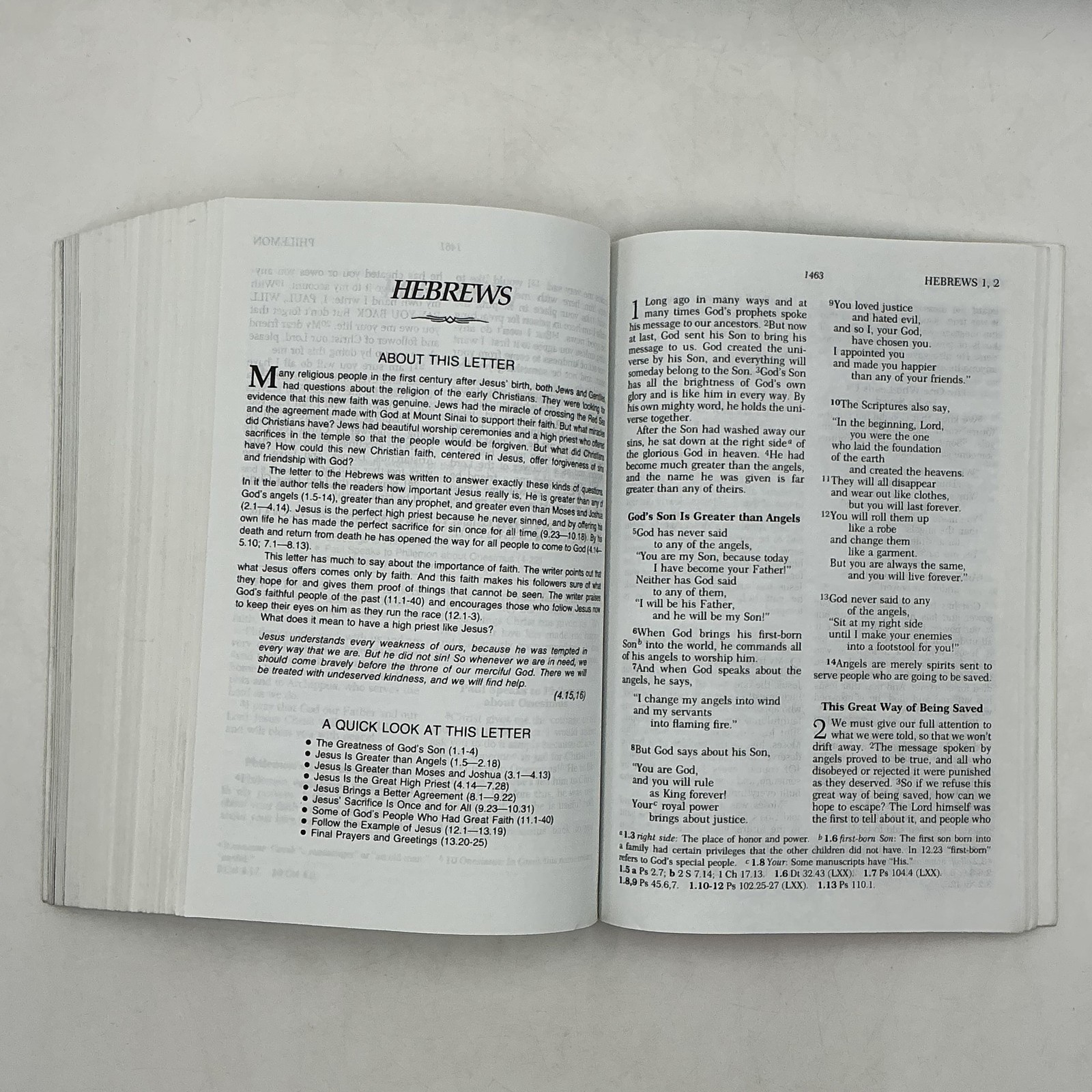 Holy Bible African American Jubilee Edition American Bible Society Green PB