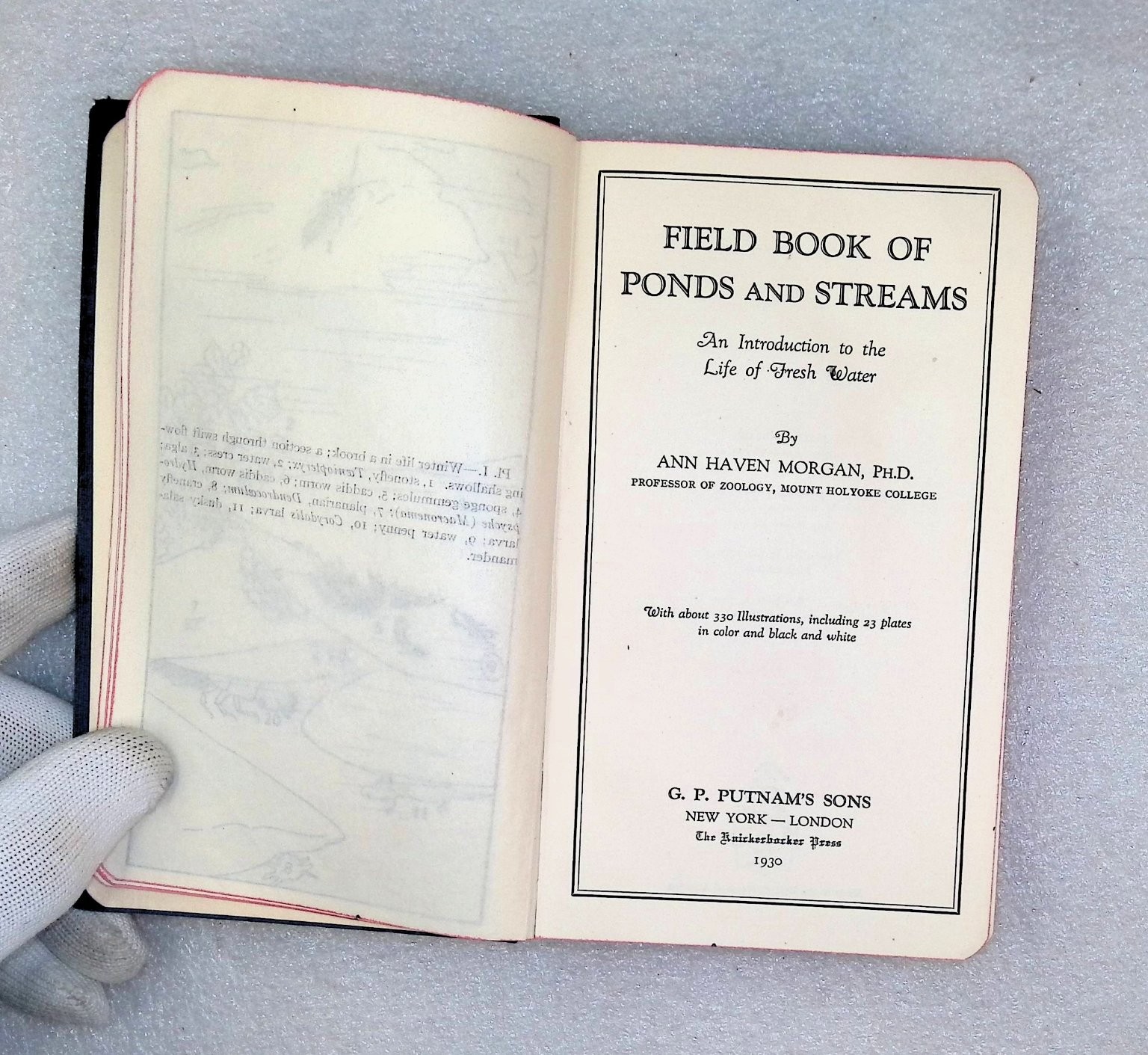 Field Book of Ponds and Streams Ann Haven Morgan 1930 First Ed Illustrated