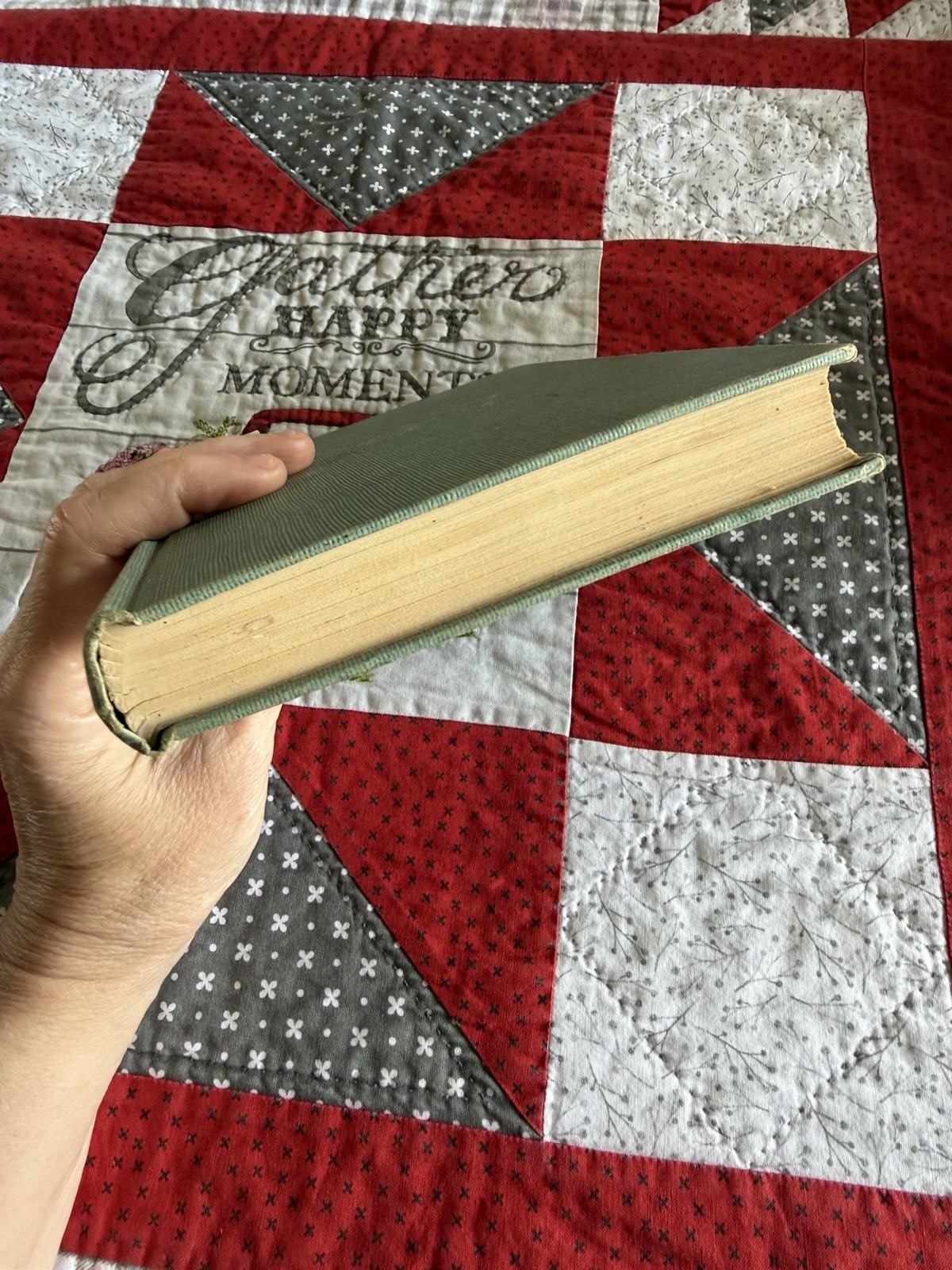 Crown Fire, Eloise Jarvis McGraw, 1951 Hardcover Vintage Children’s Book