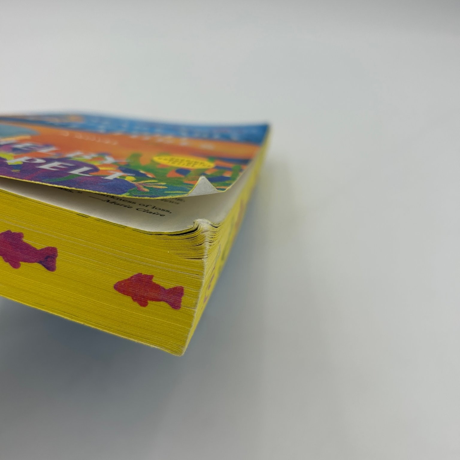 Remarkably Bright Creatures Shelby Van Pelt 2022 Novel Ecco Books