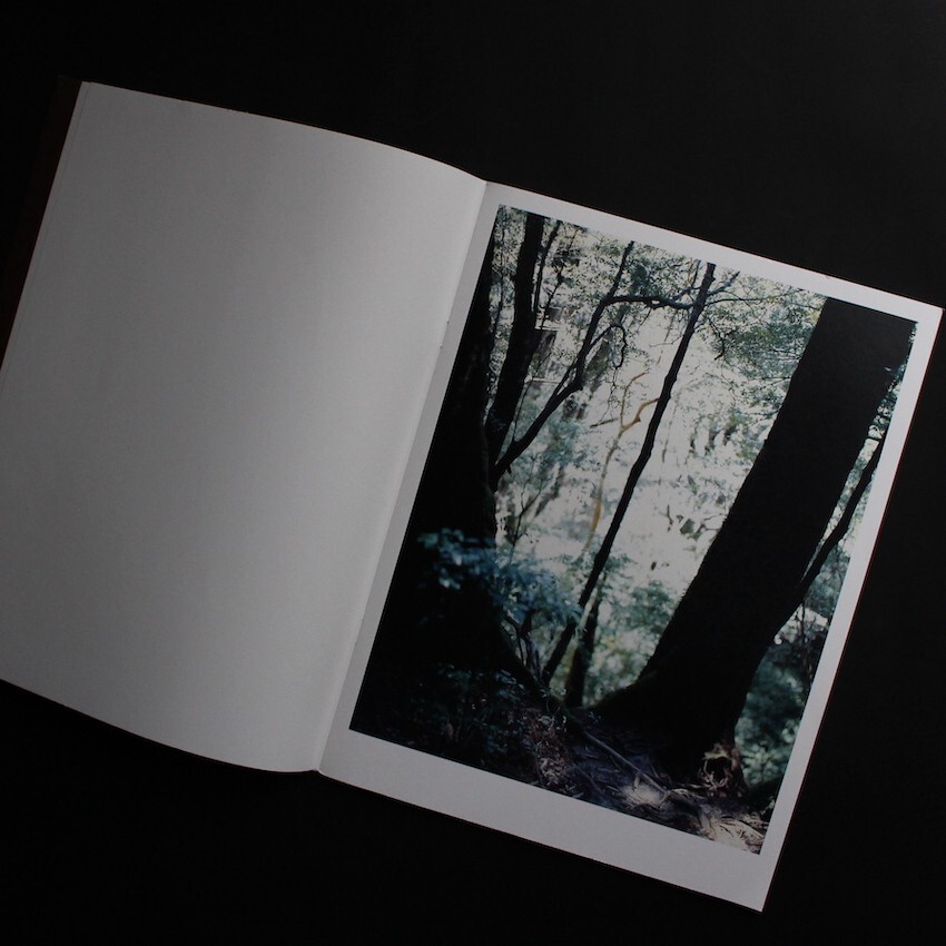Materia Yoshihiko Ueda 2012 Japanese Photography Book Yakushima Landscape Forest